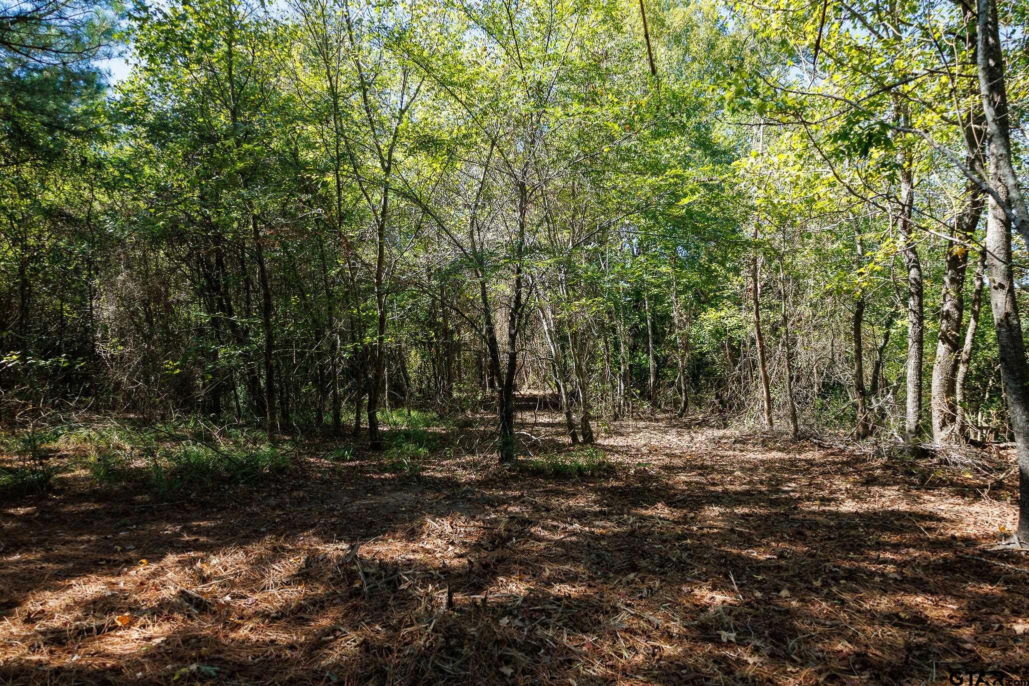 Tbd Peach Road Property Photo 3