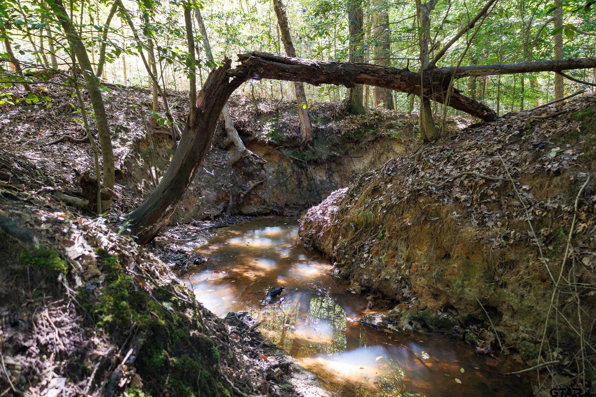 Tbd Peach Road Property Photo 4