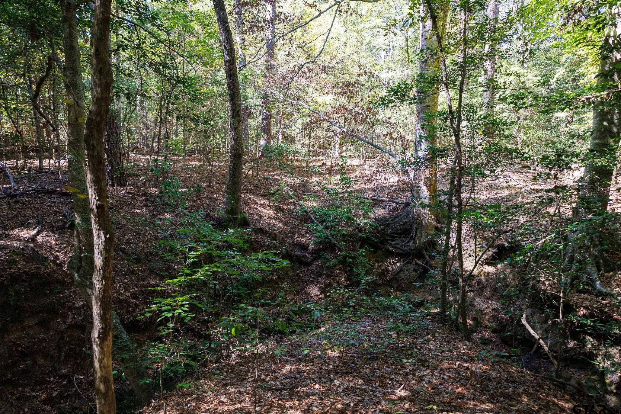 Tbd Peach Road Property Photo 5