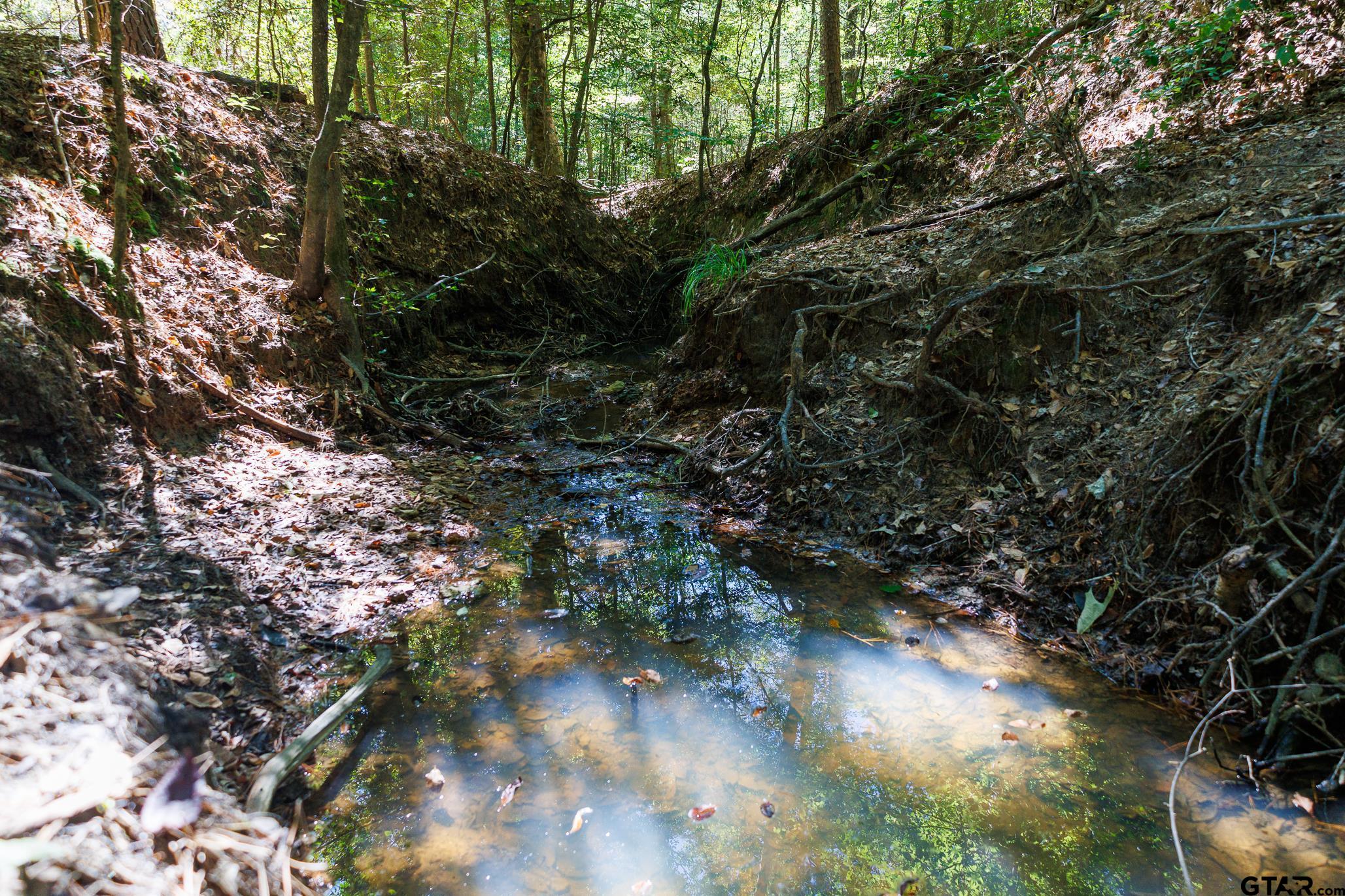 Tbd Peach Road Property Photo 9