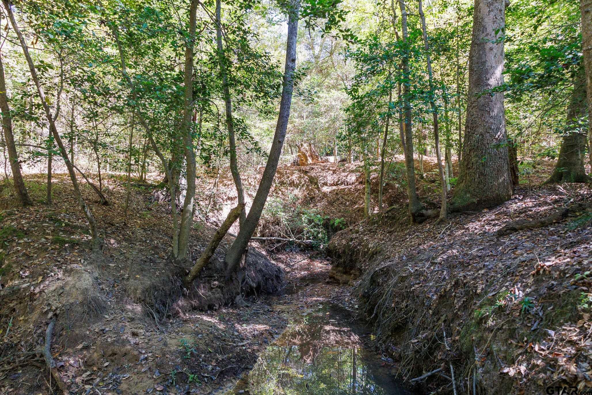 Tbd Peach Road Property Photo 10