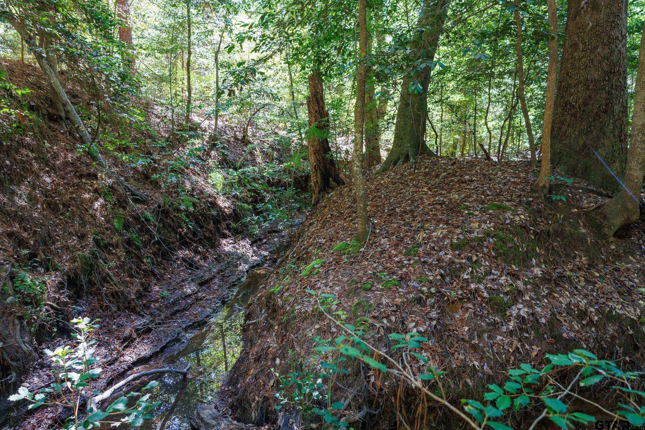 Tbd Peach Road Property Photo 11