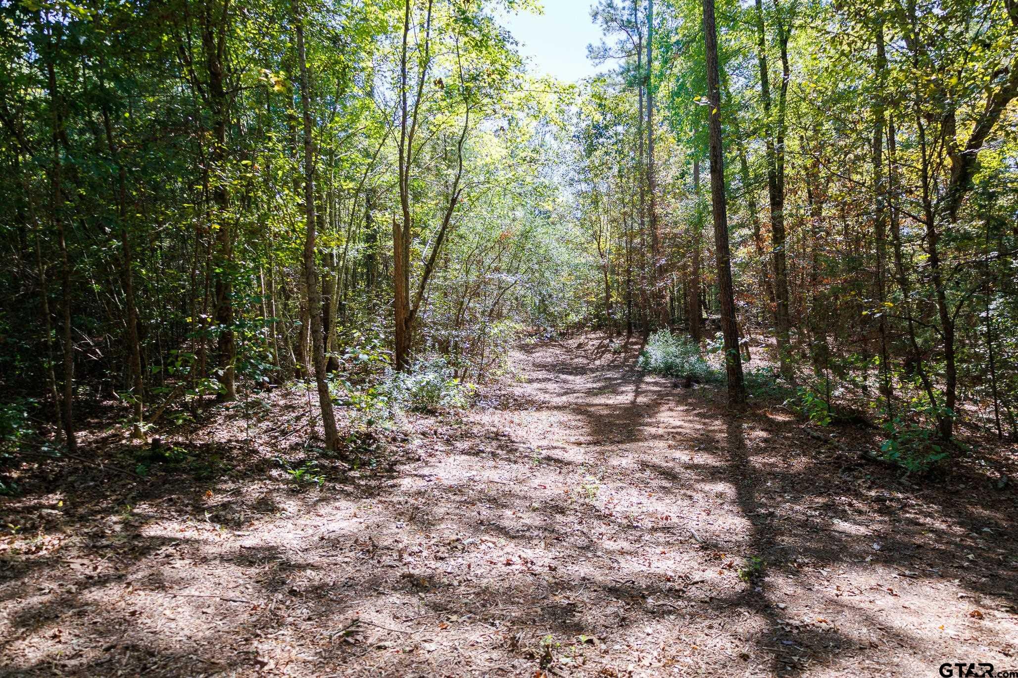 Tbd Peach Road Property Photo 12