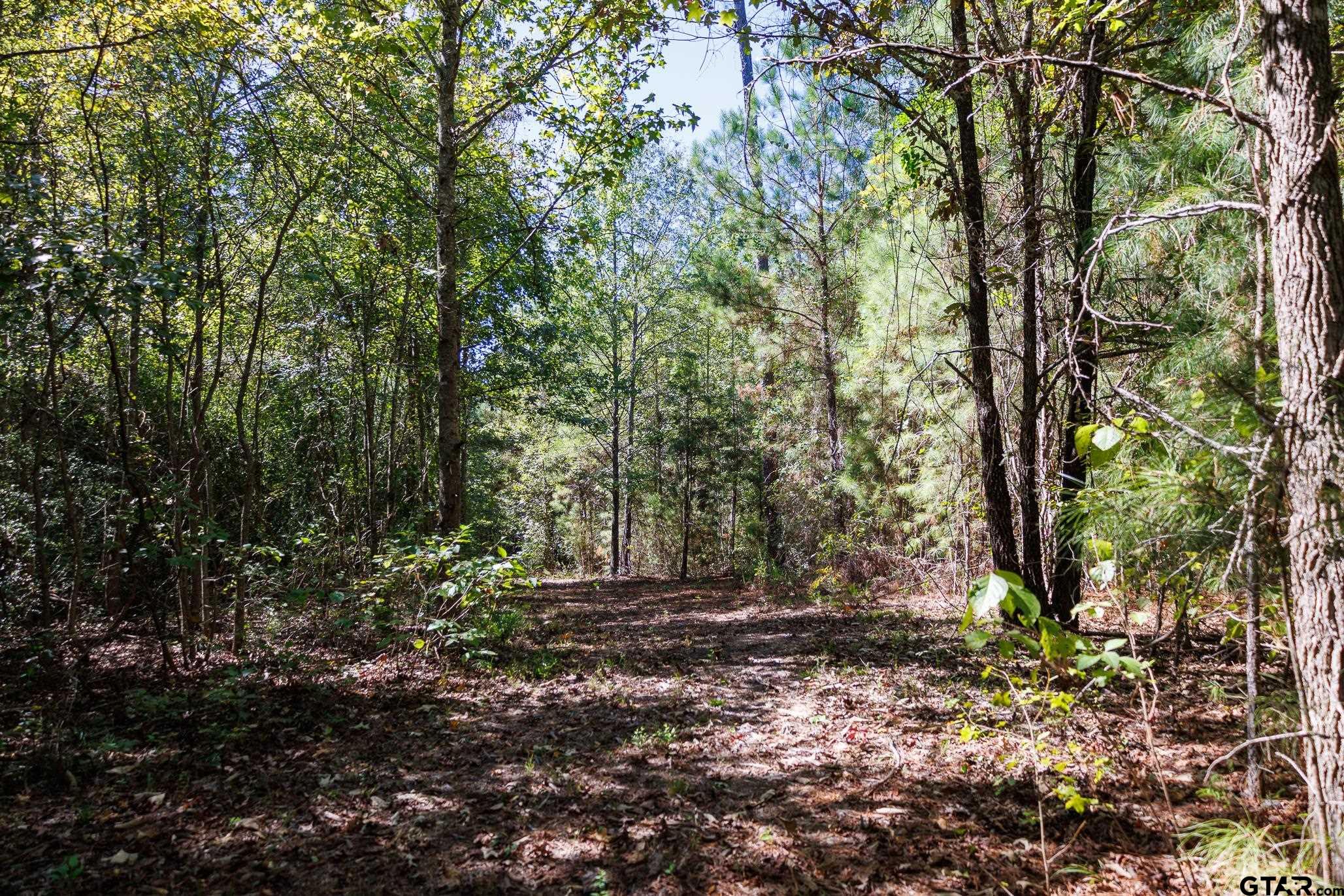Tbd Peach Road Property Photo 13