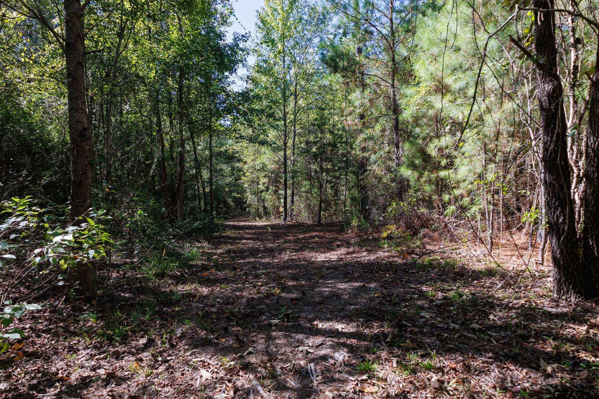 Tbd Peach Road Property Photo 14