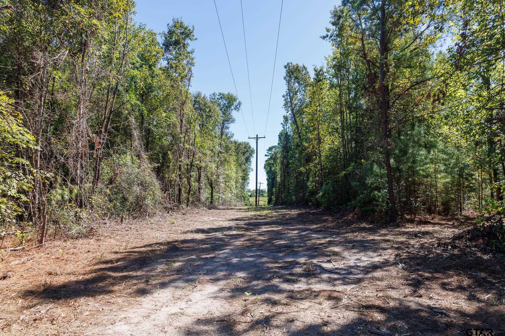 Tbd Peach Road Property Photo 15