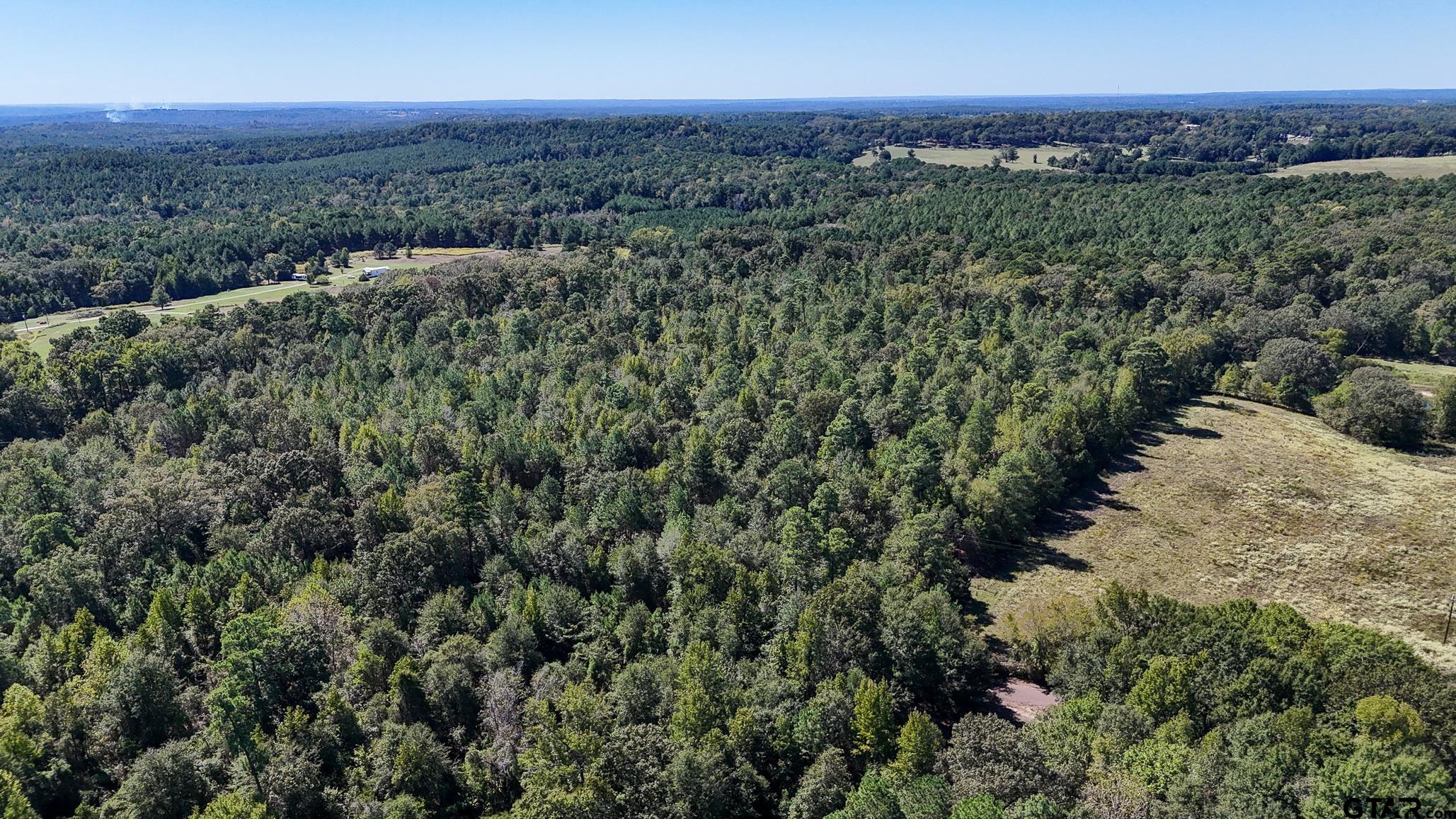 Tbd Peach Road Property Photo 18