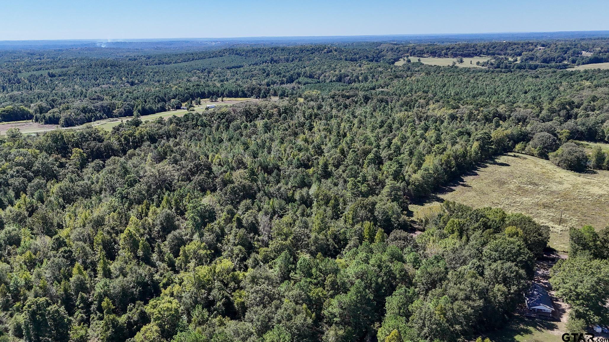 Tbd Peach Road Property Photo 19