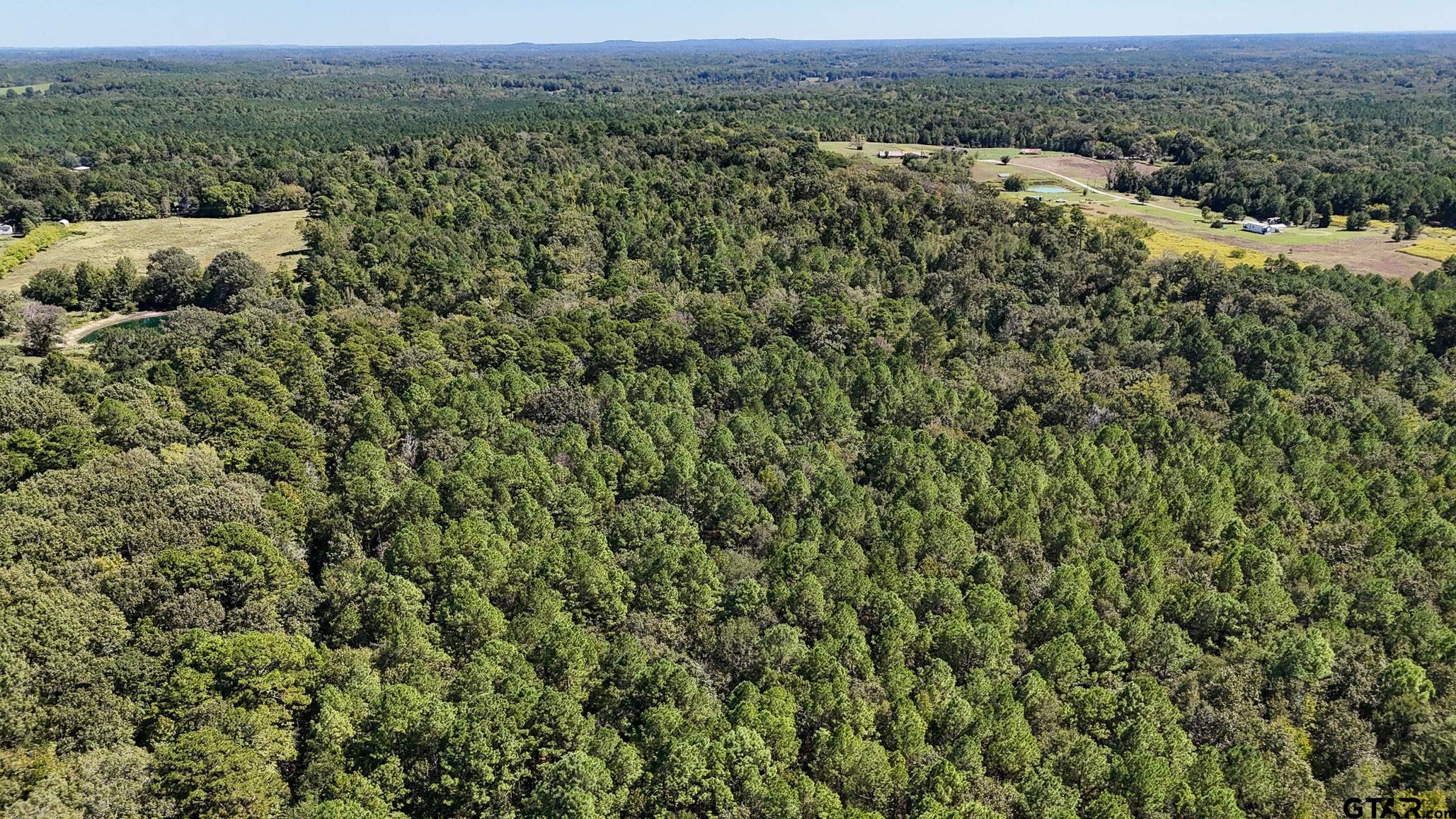 Tbd Peach Road Property Photo 21