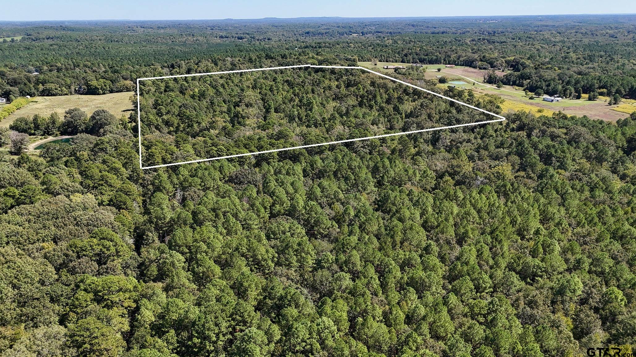 Tbd Peach Road Property Photo 22