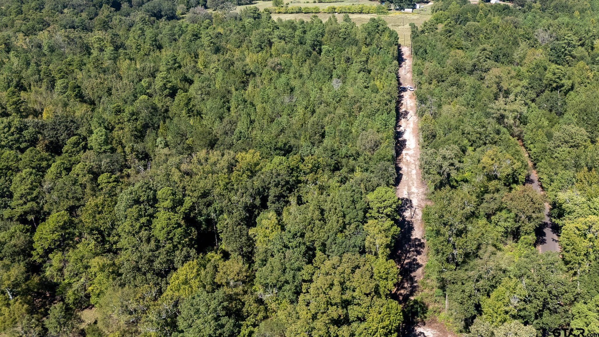 Tbd Peach Road Property Photo 23