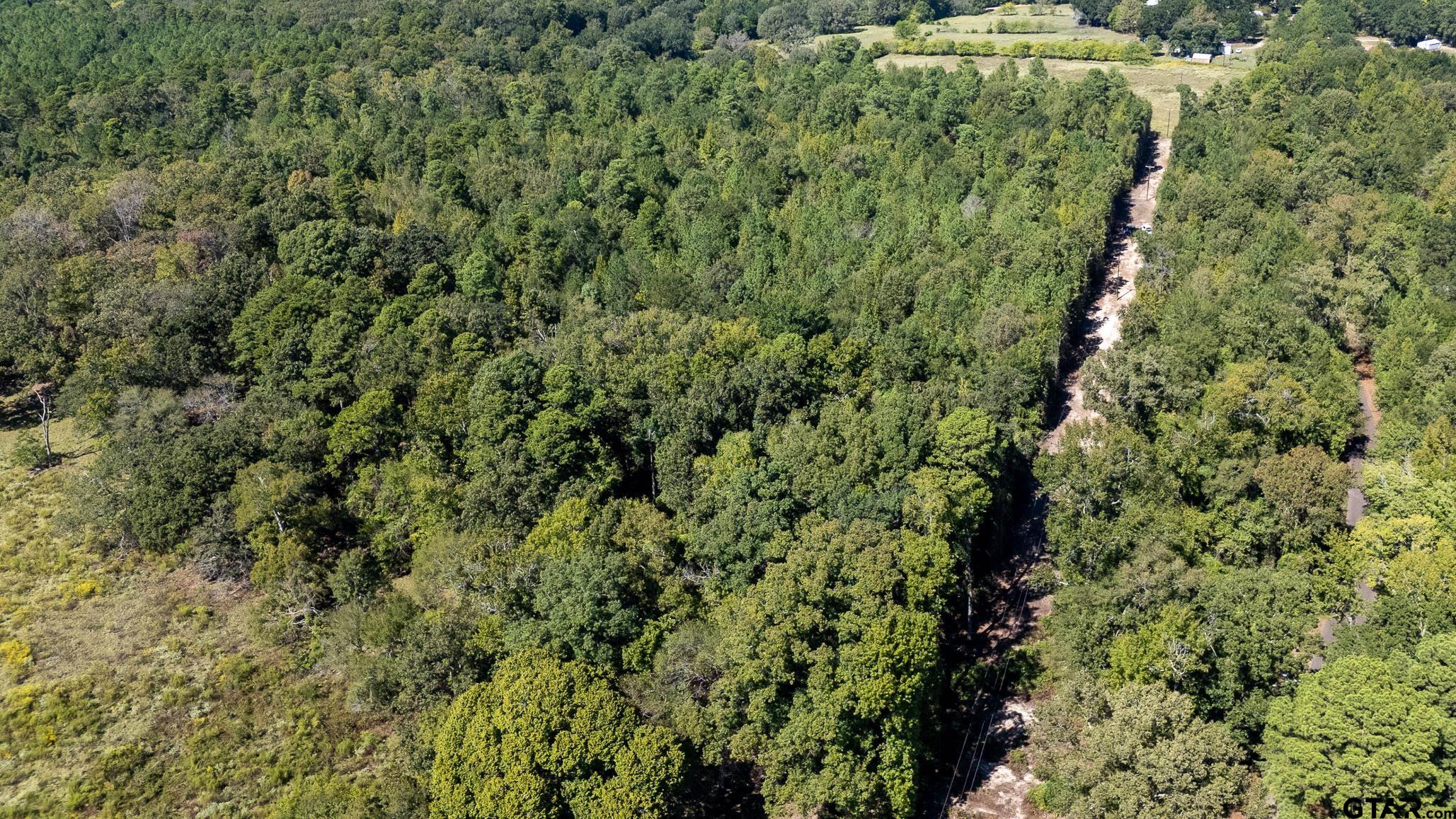 Tbd Peach Road Property Photo 24