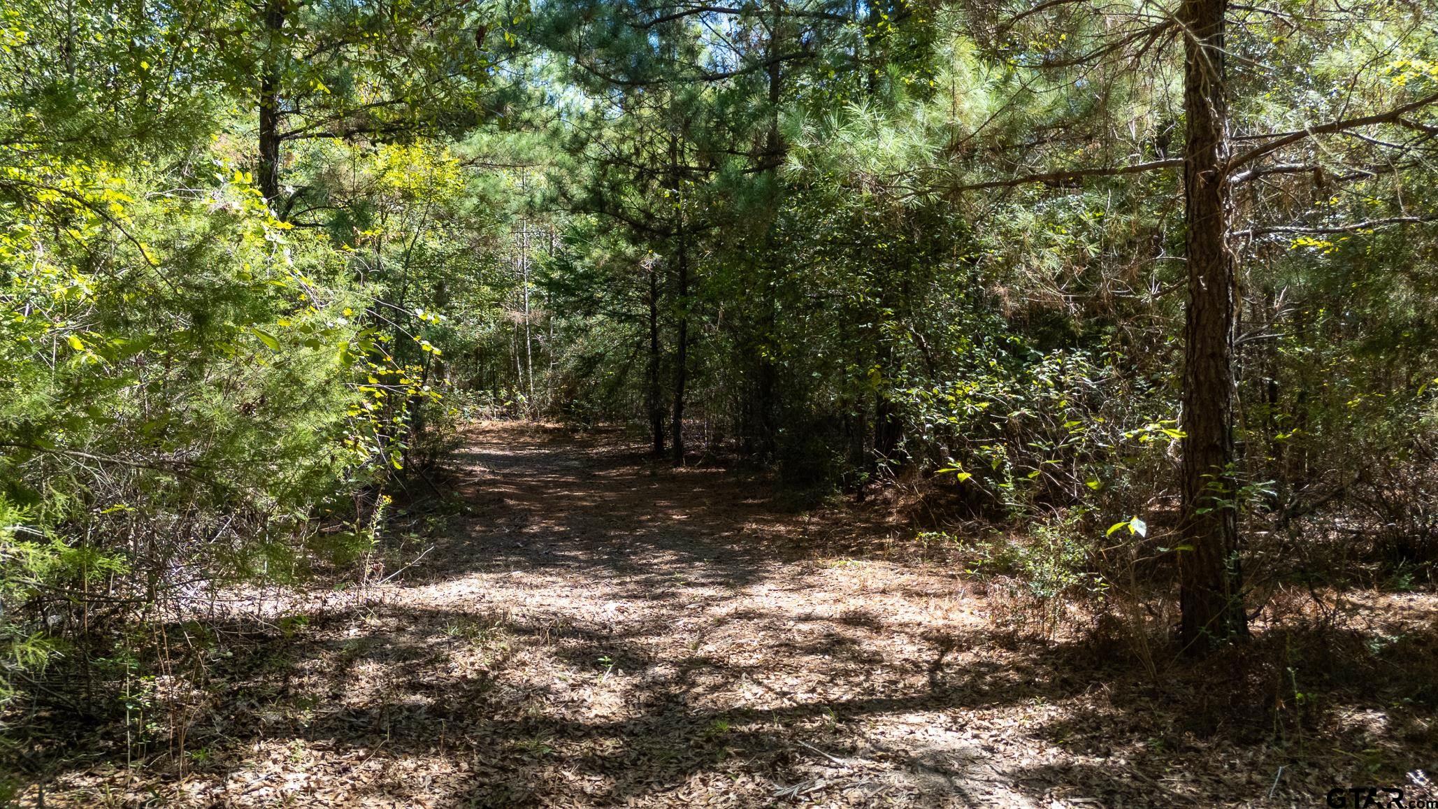 Tbd Peach Road Property Photo 25