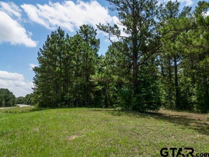 Tbd W Highway 67 Property Photo 3
