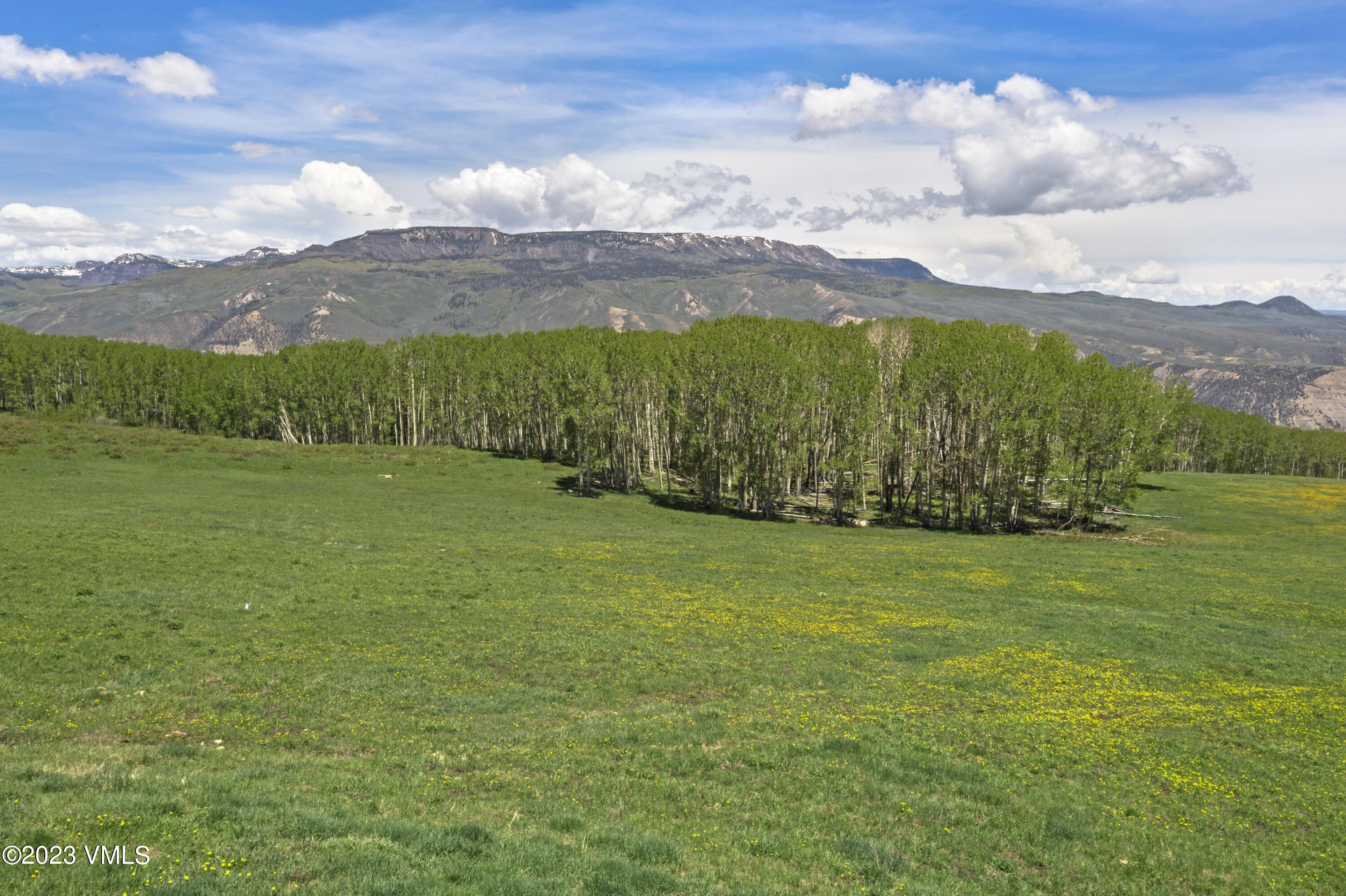 3450 Co Rd 151 Property Photo 49