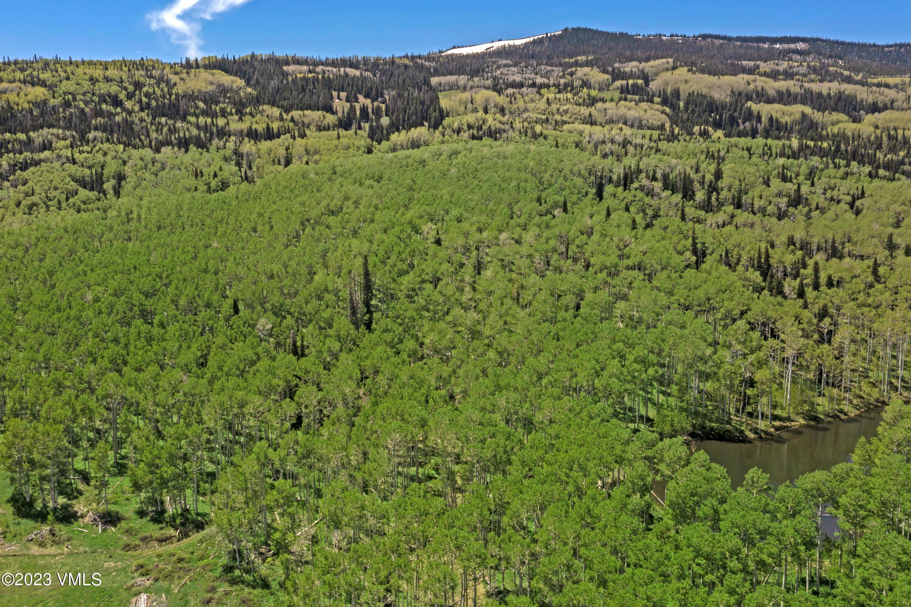 3450 Co Rd 151 Property Photo 68