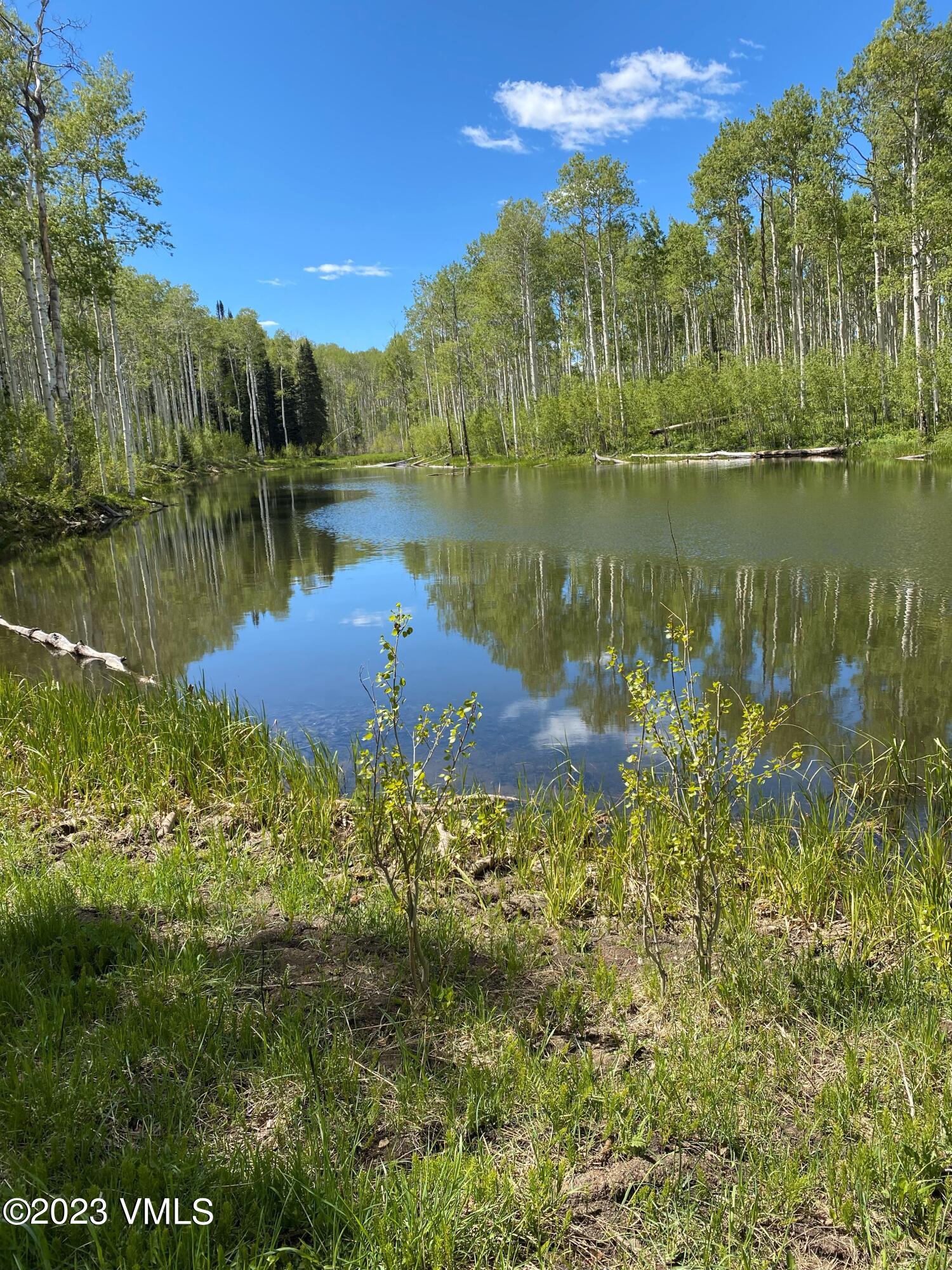 3450 Co Rd 151 Property Photo 71