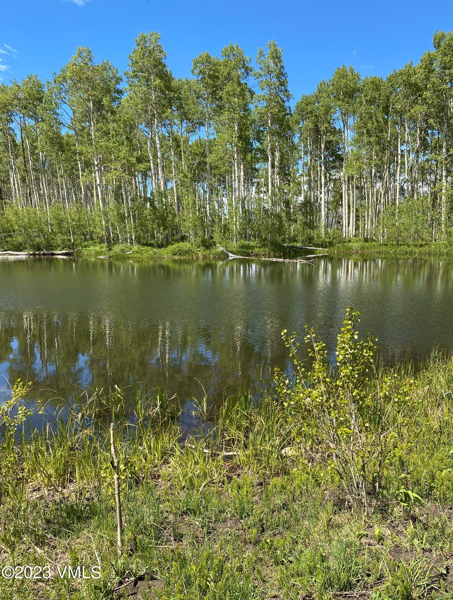 3450 Co Rd 151 Property Photo 72