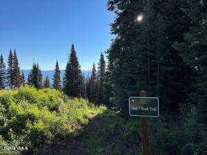 1279 !dnp! Gore Trail Property Photo 16