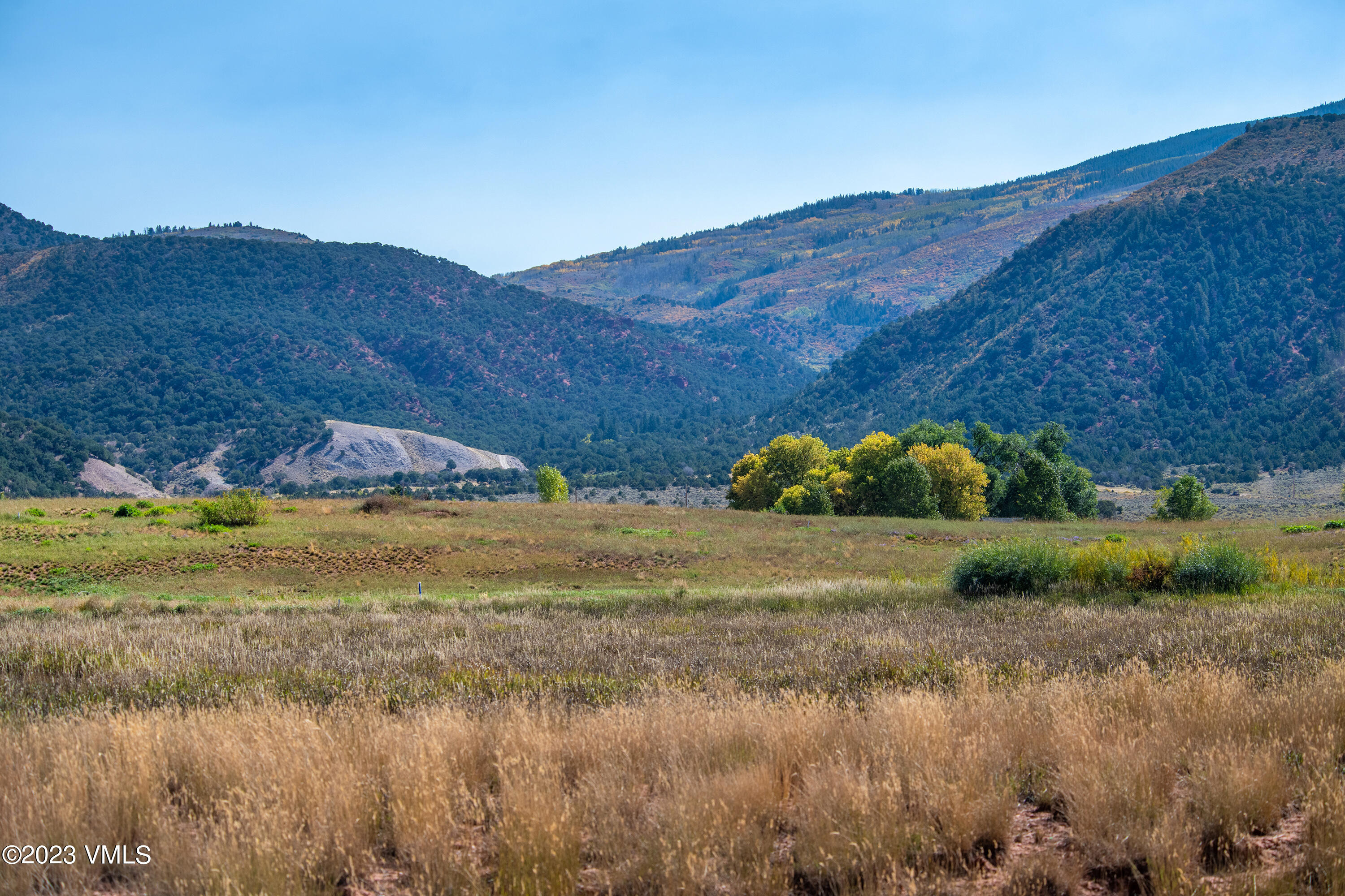 53 Foxprowl Property Photo 5