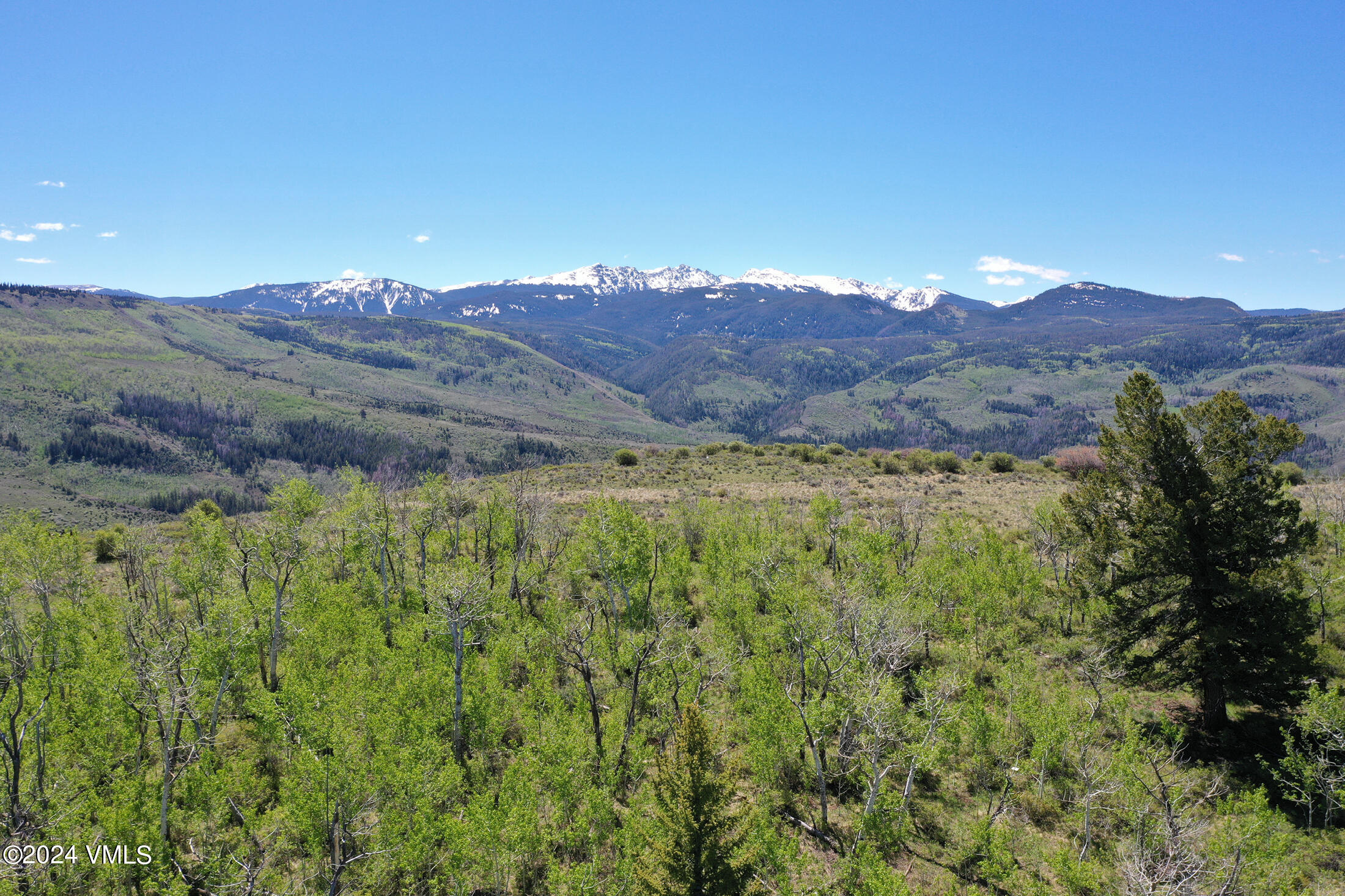 818 Webb Peak Property Photo 3