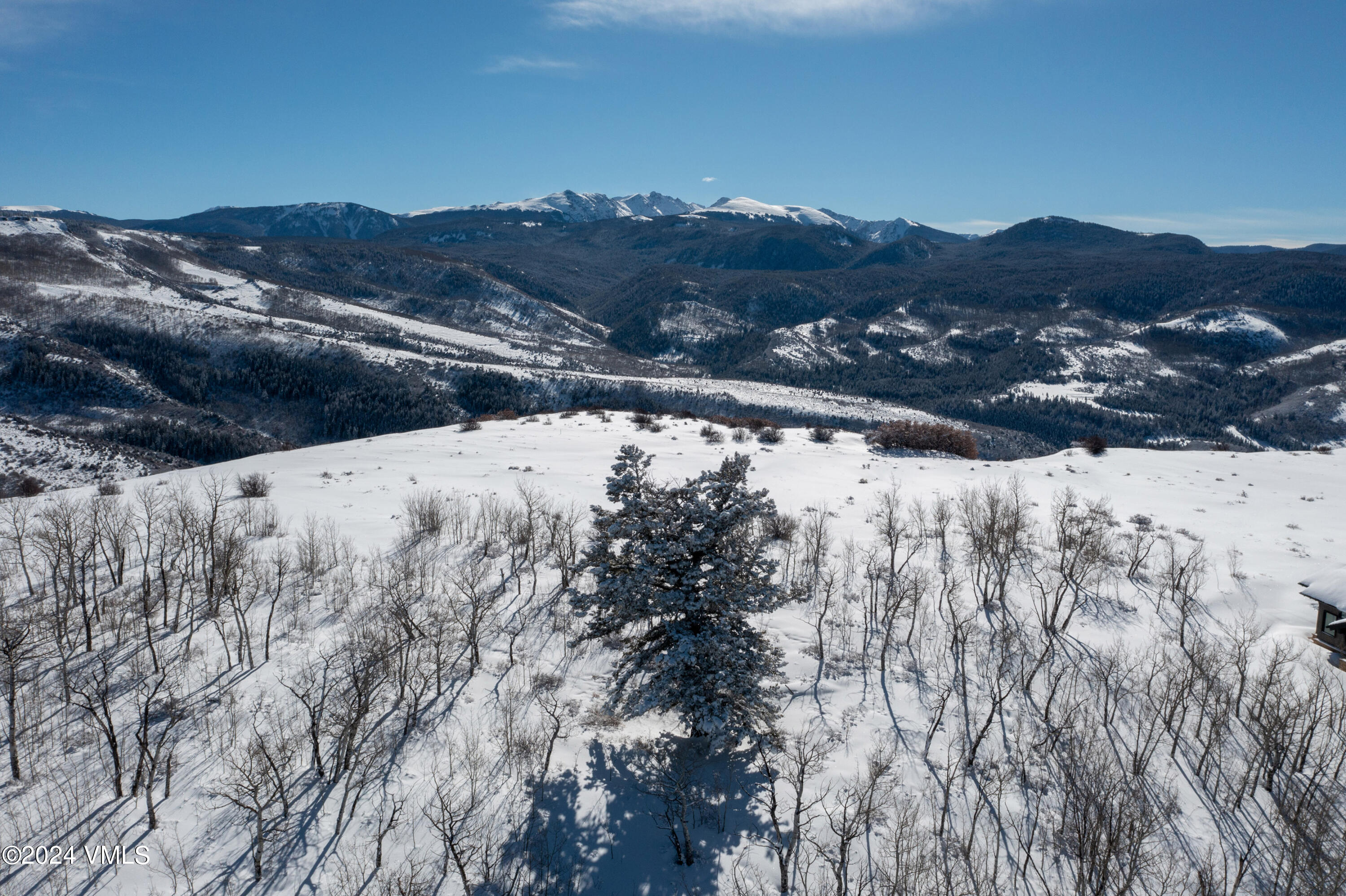 818 Webb Peak Property Photo 8