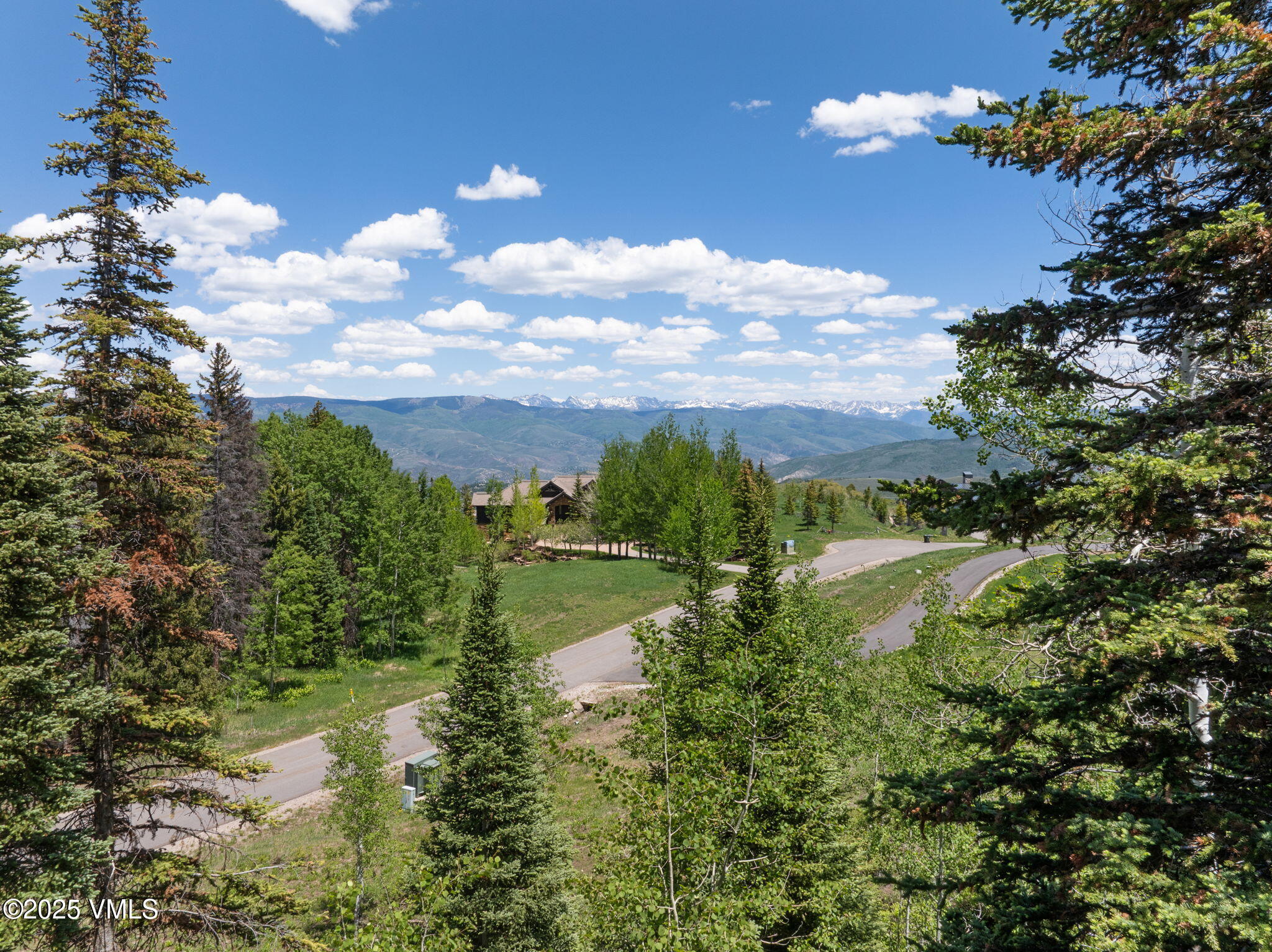 782 Granite Springs Trail Property Photo 4