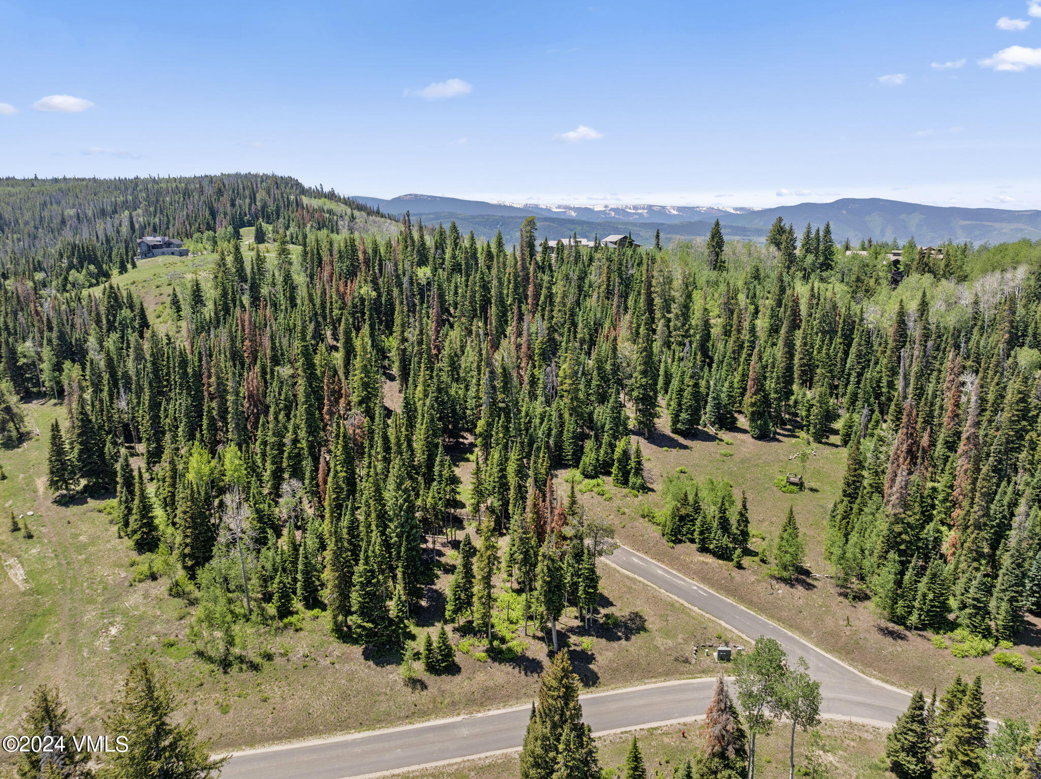 782 Granite Springs Trail Property Photo 7