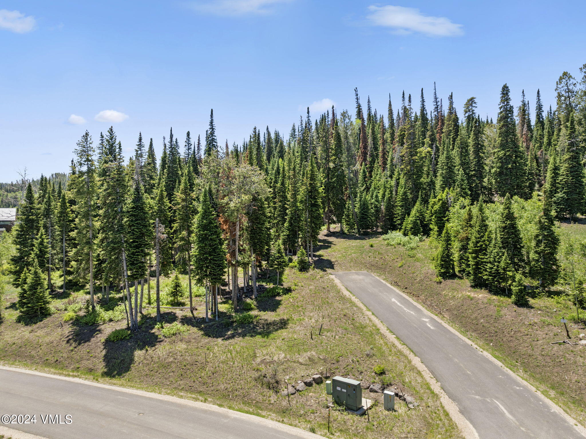 782 Granite Springs Trail Property Photo 8