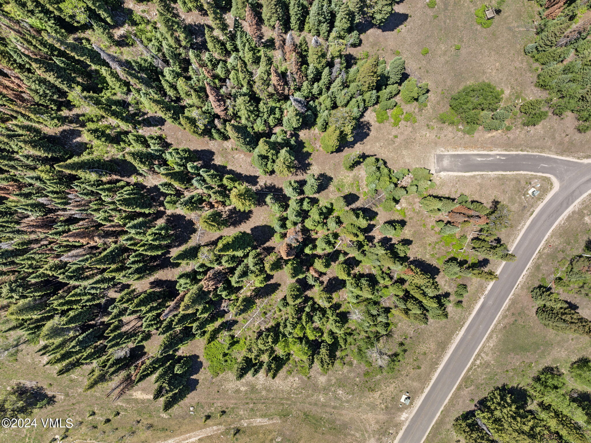 782 Granite Springs Trail Property Photo 9