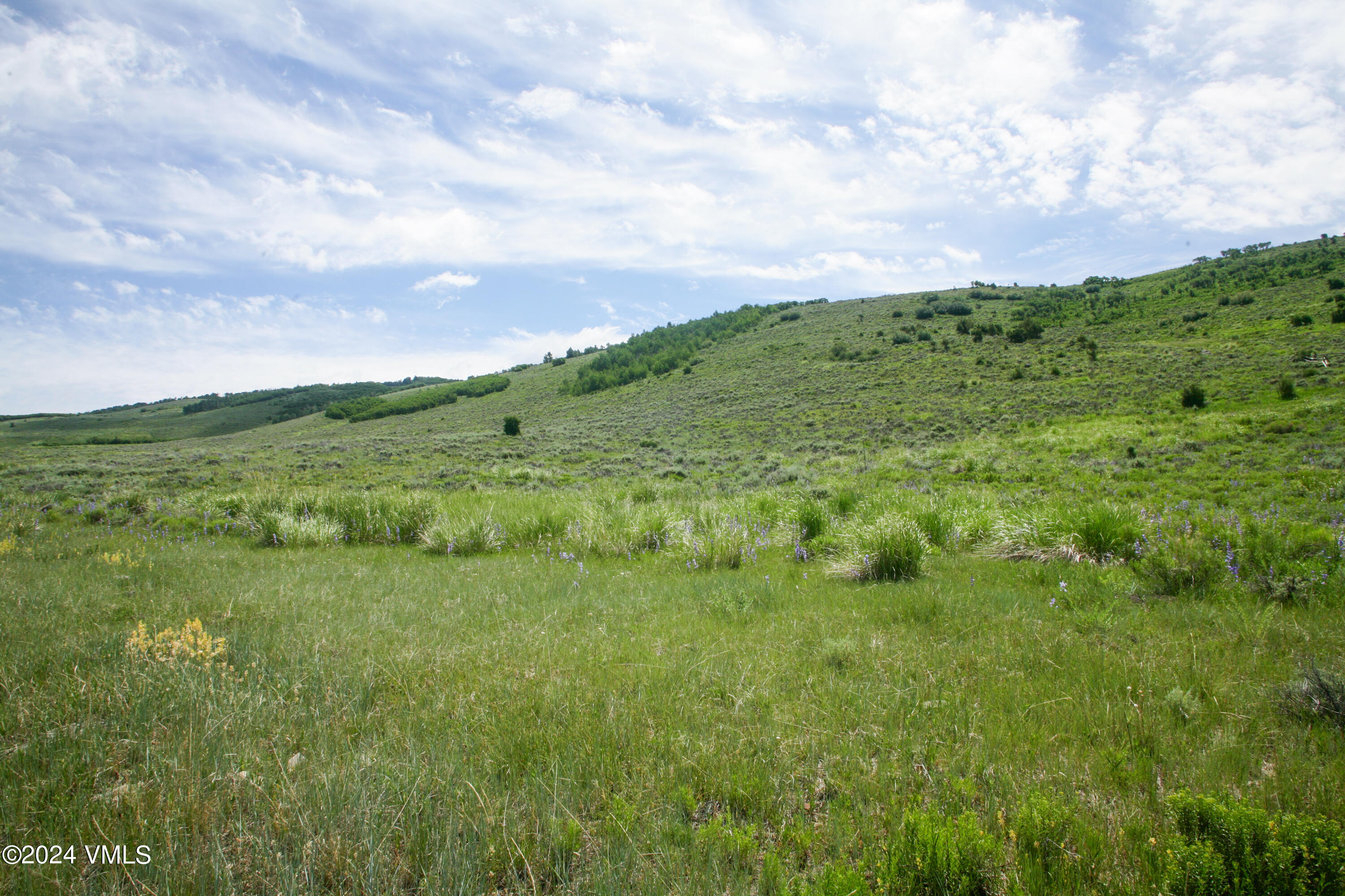 3566 Territory Trail Property Photo 9