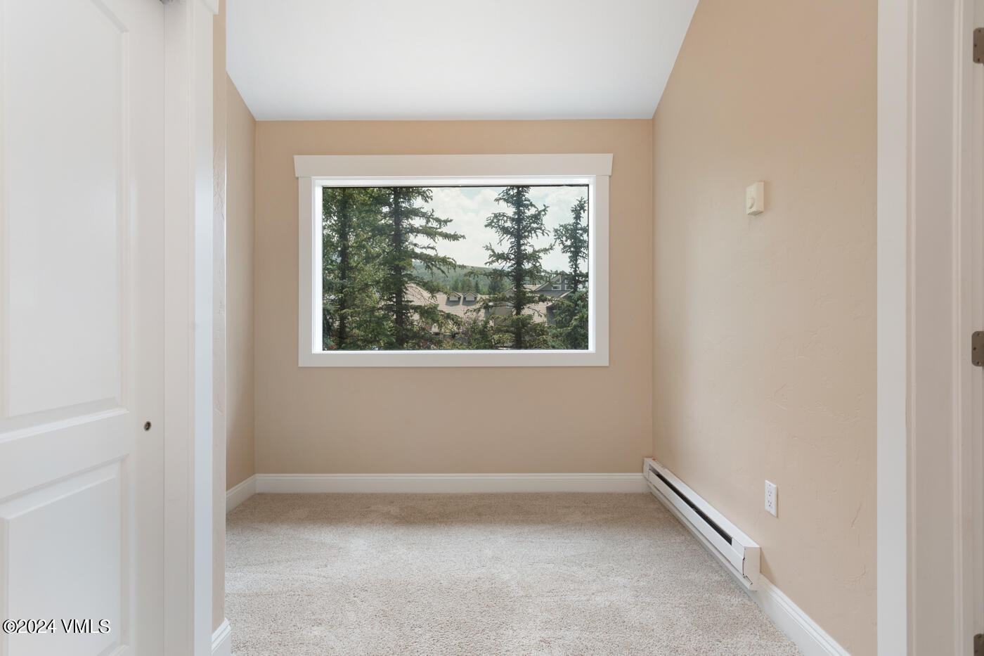 28 Castle Peak Lane Property Photo 19