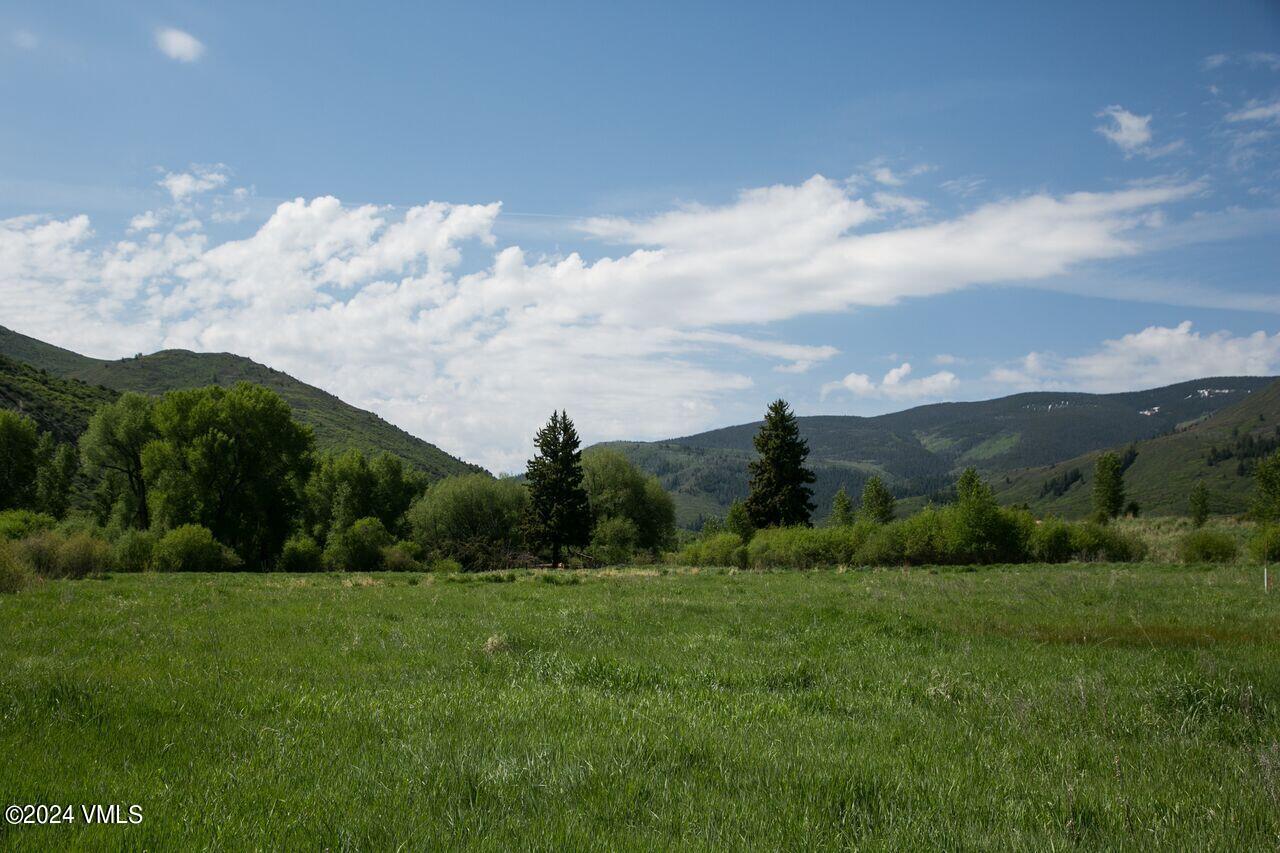 0408 Red Bluffs Lane Property Photo 3