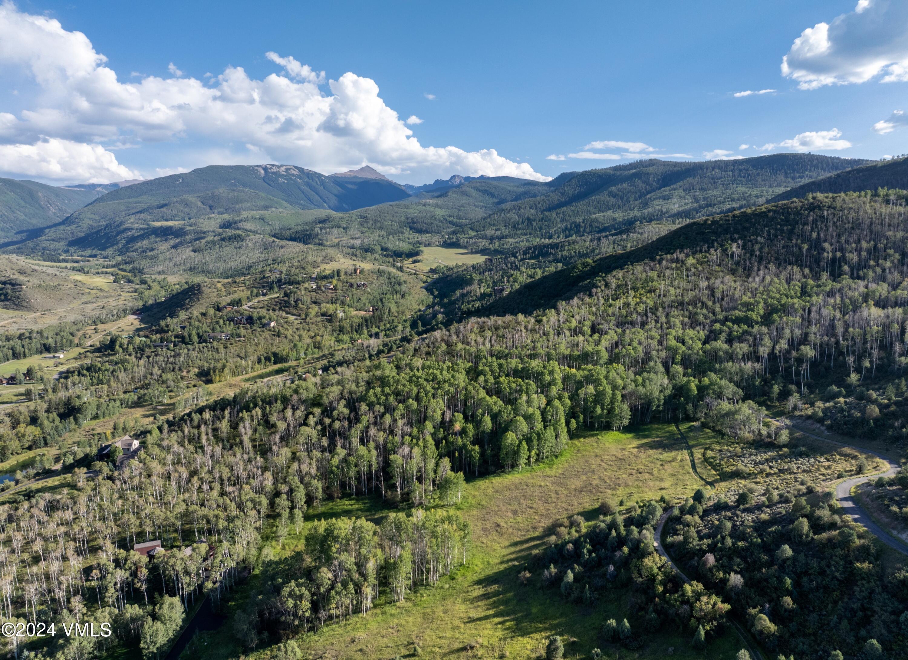 420 Saddle Horn Way Property Photo 4