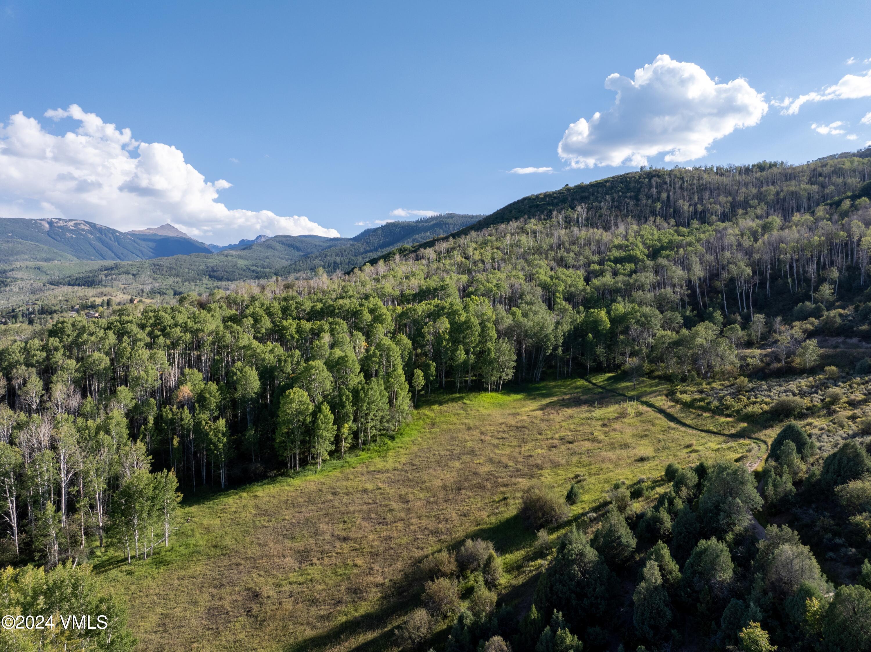 420 Saddle Horn Way Property Photo 6