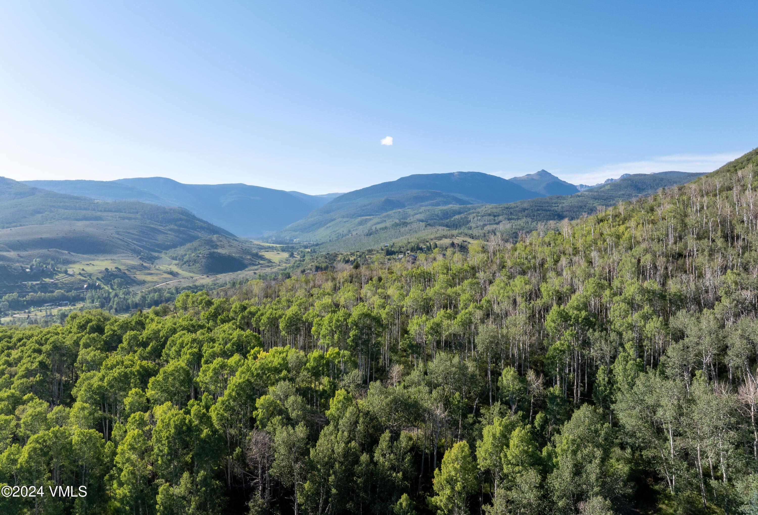 420 Saddle Horn Way Property Photo 10