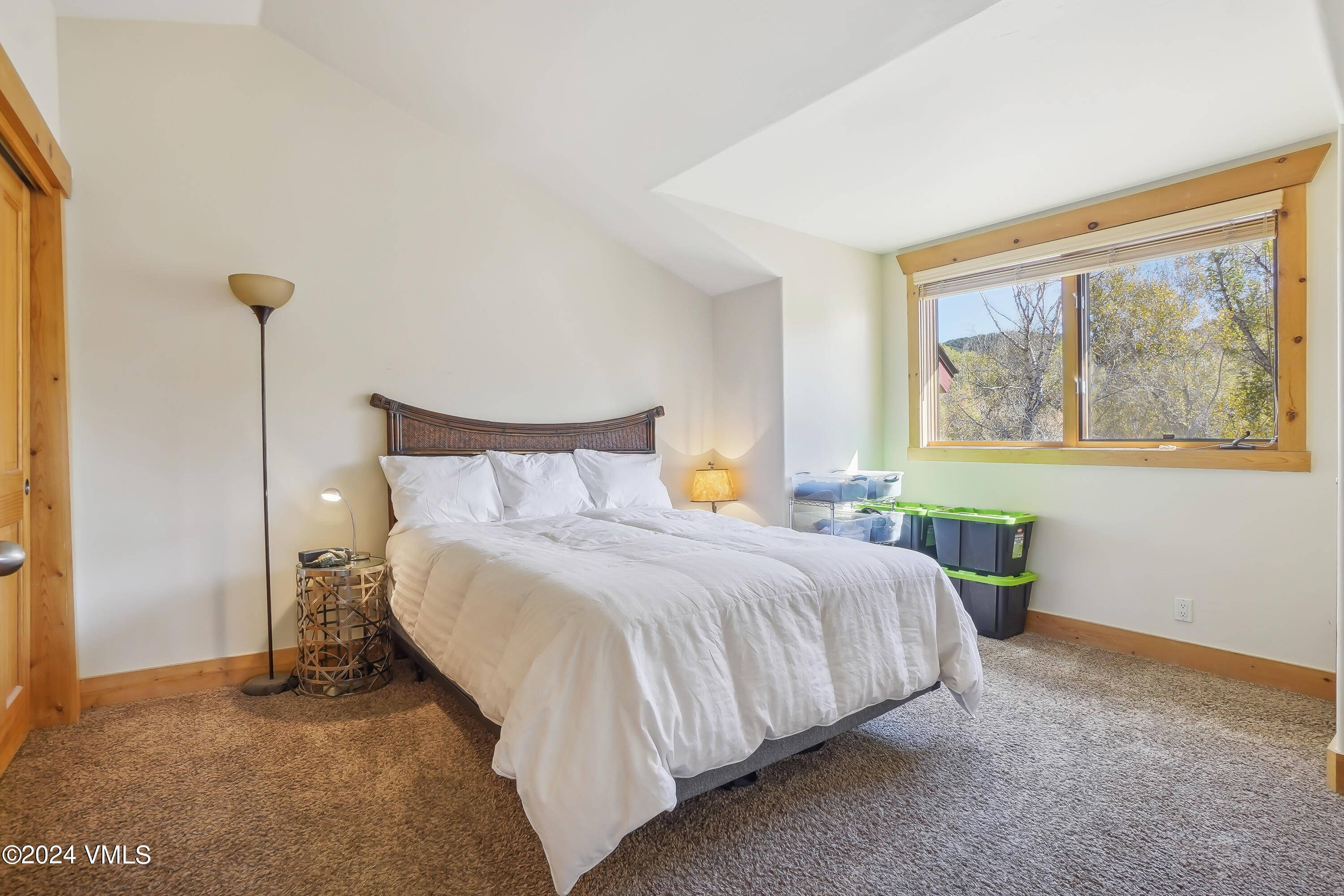 44 Canyon Court Property Photo 40