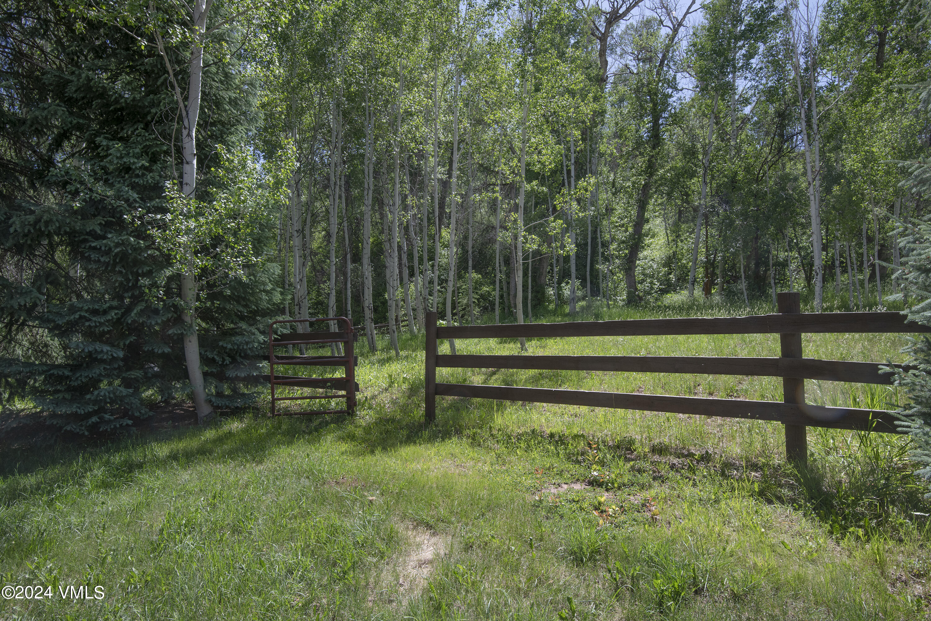 9001 Brush Creek Road Property Photo 58