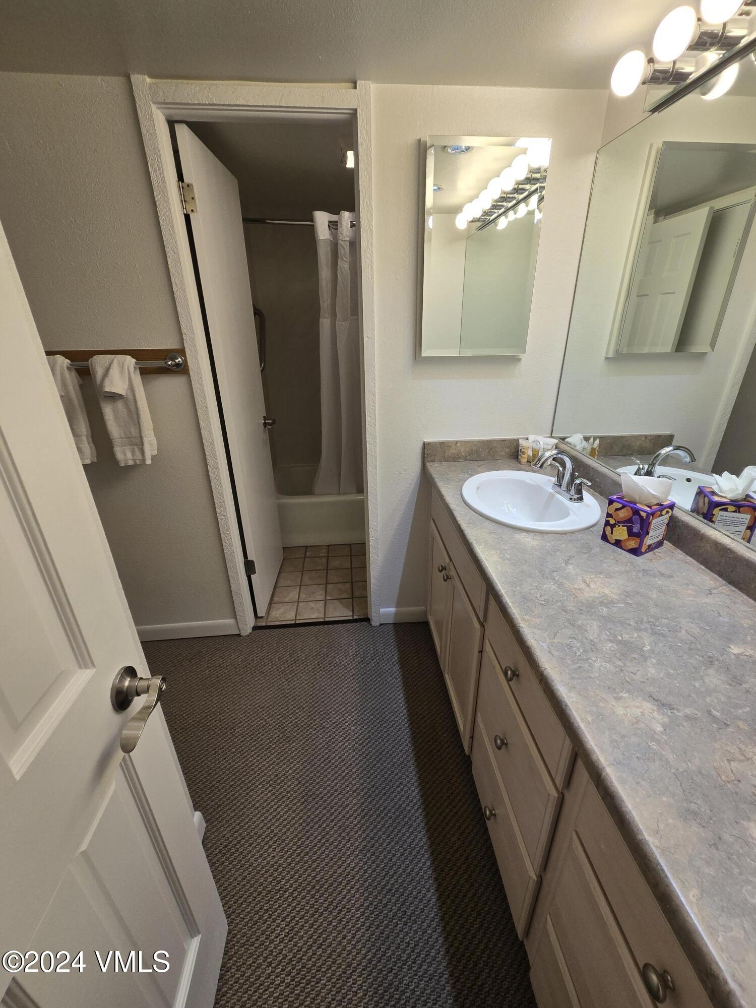 508 E Lionshead Circle, 305-14 Property Photo 12