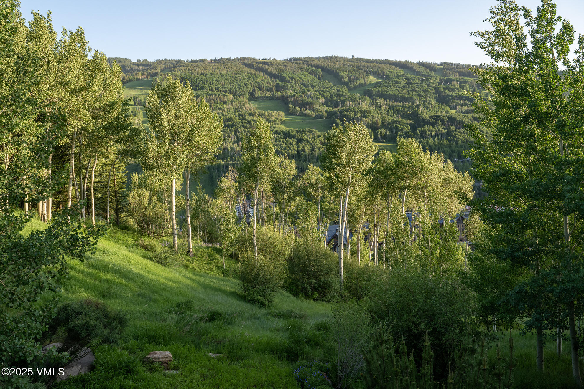 1094 Riva Glen Property Photo 20