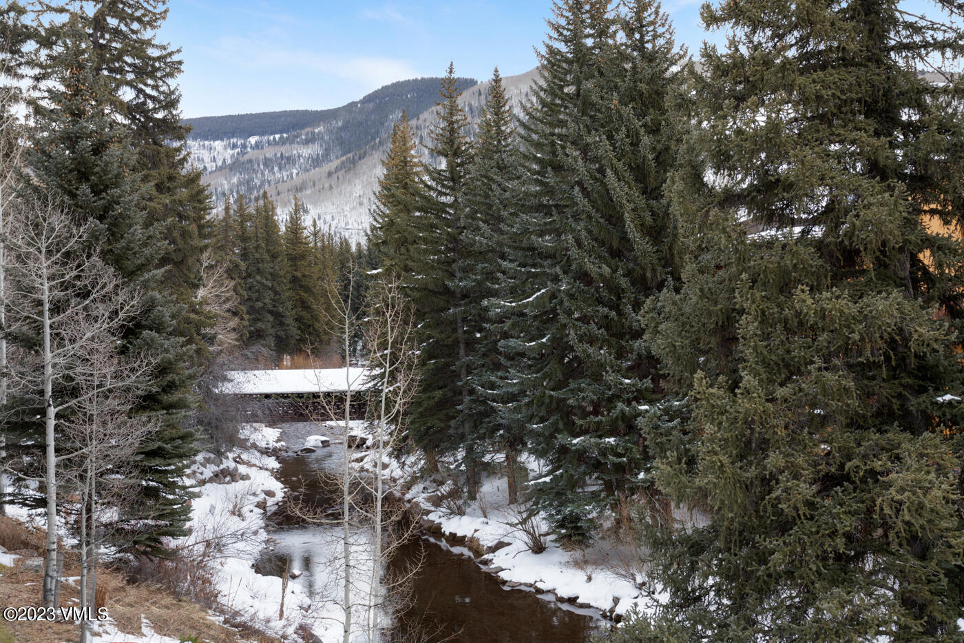 242 E Meadow Drive, 201-6 Property Photo 48