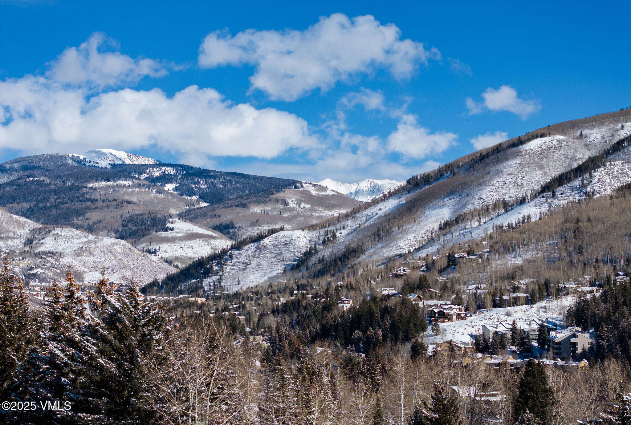2699 Davos Trail E Property Photo 28