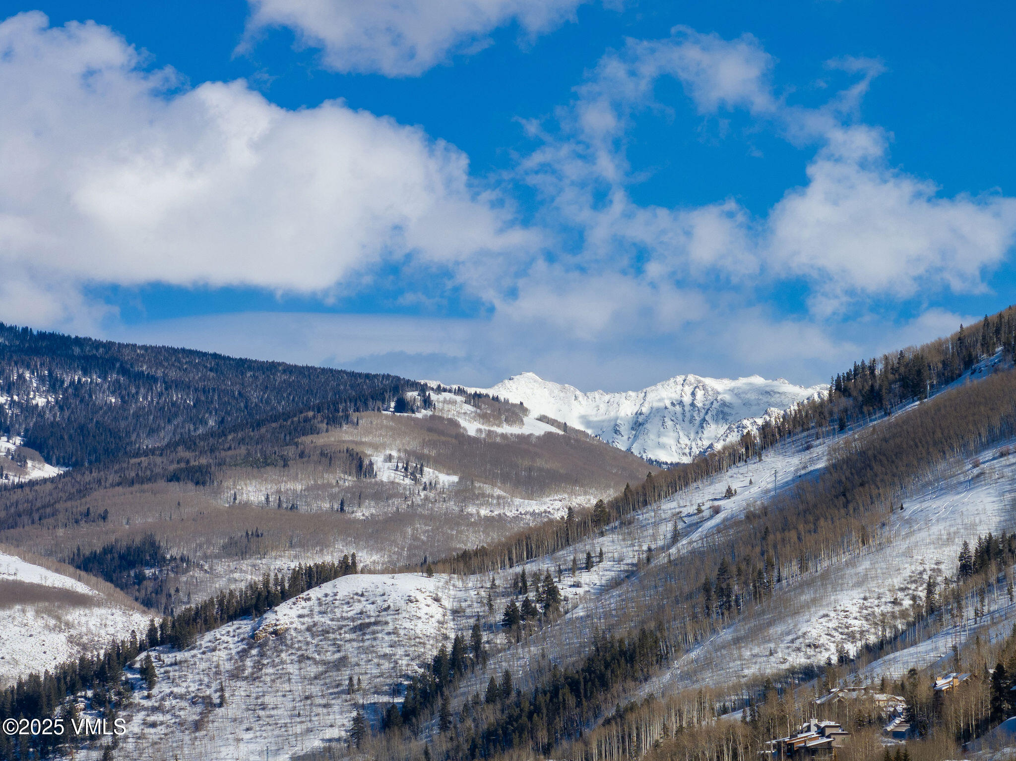 2699 Davos Trail E Property Photo 29