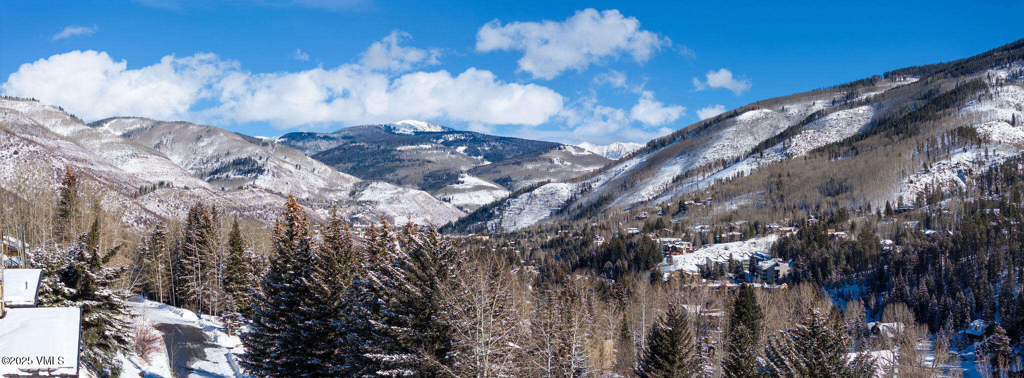 2699 Davos Trail E Property Photo 31