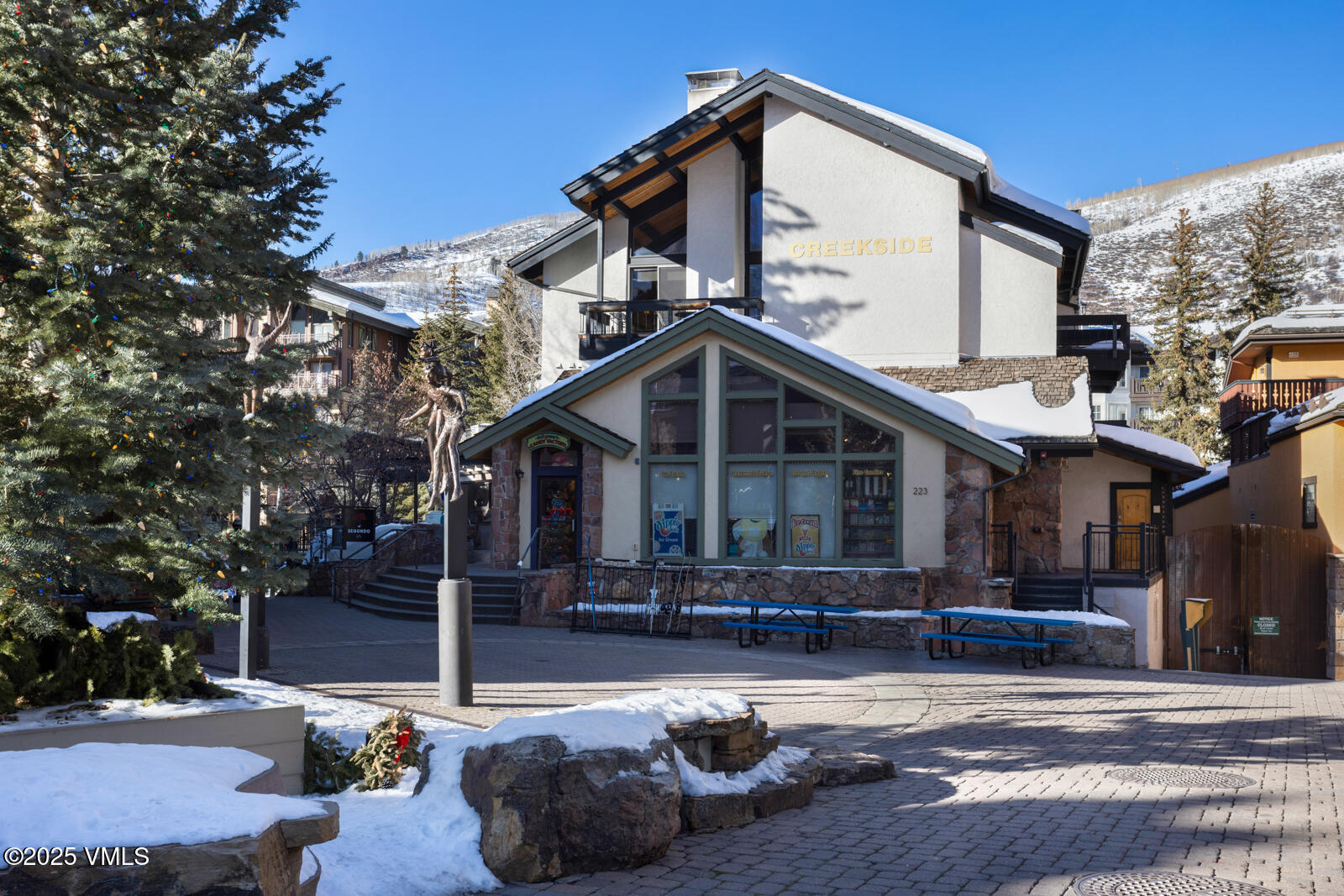 223 Gore Creek Drive, 4 Property Photo 18