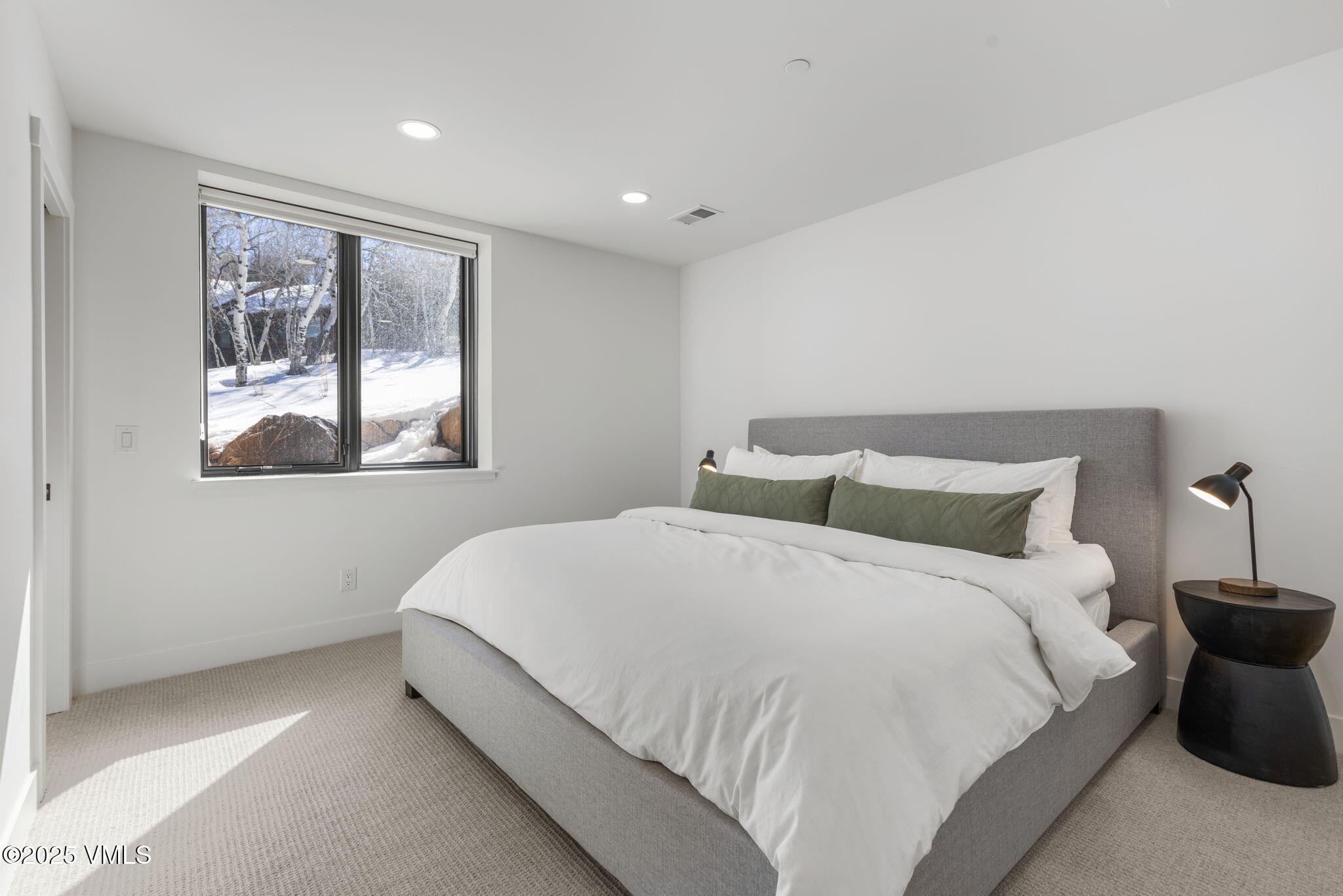 1152 Red Draw Property Photo 45