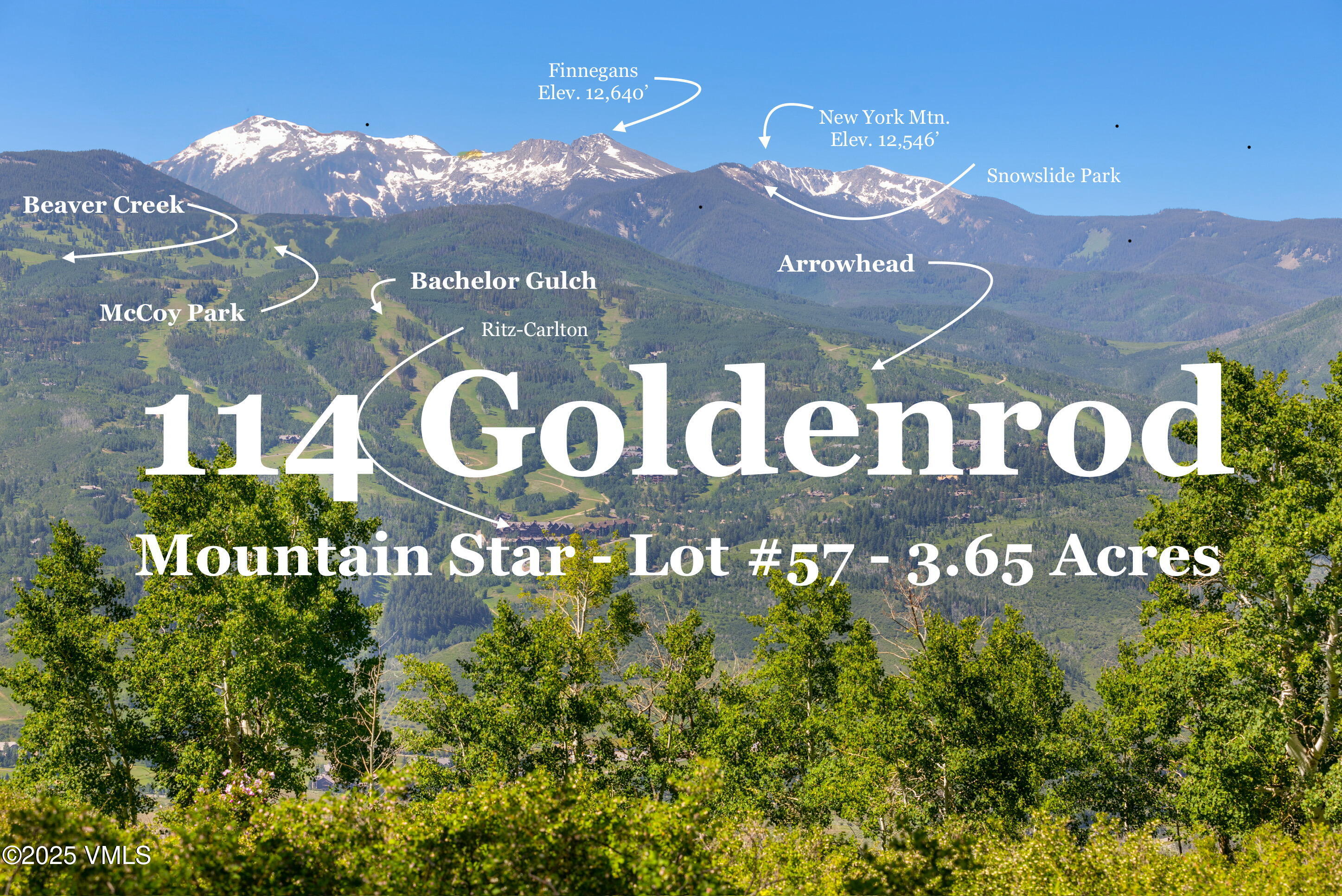 114 Goldenrod