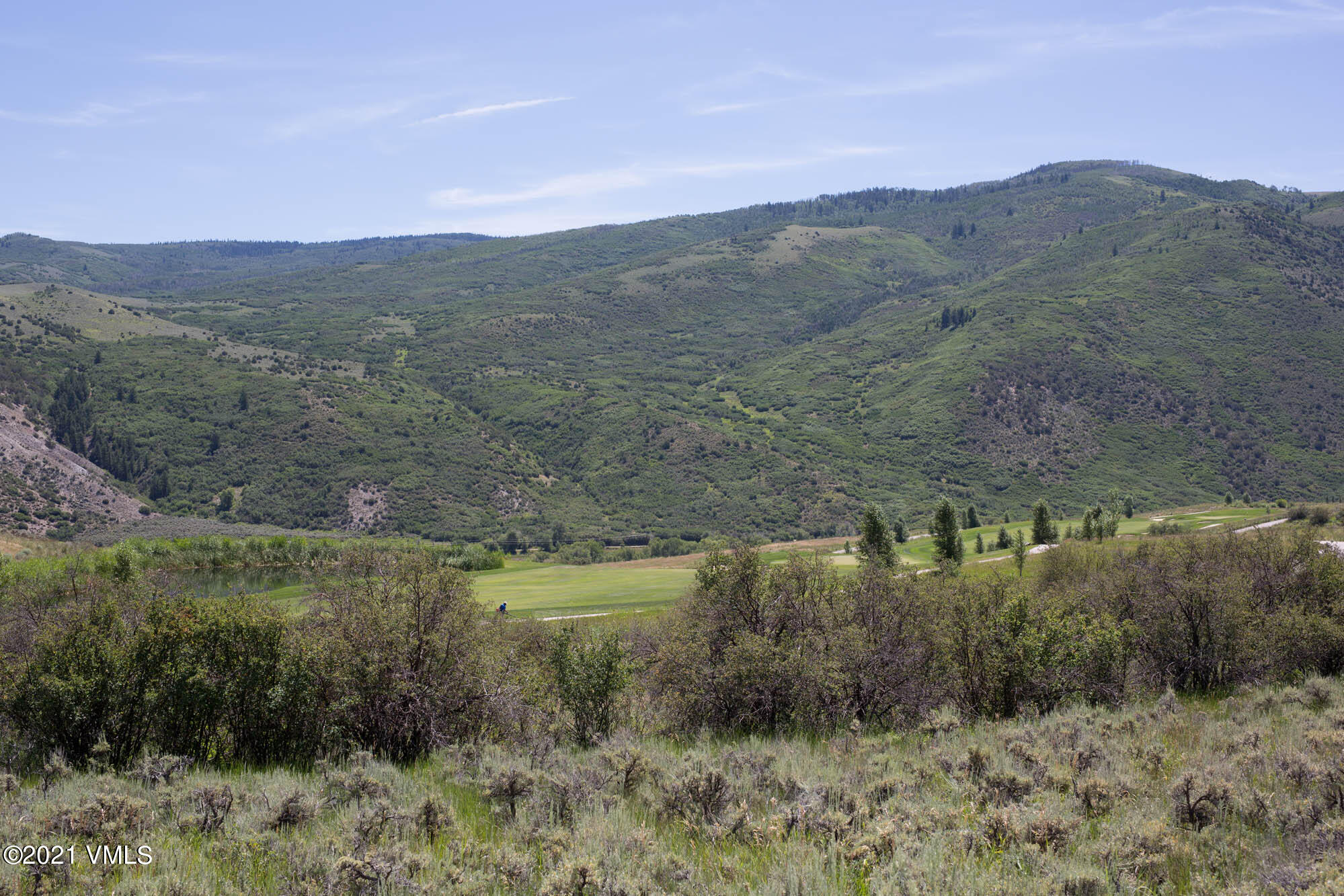 2369 Frost Creek Drive Property Photo 2