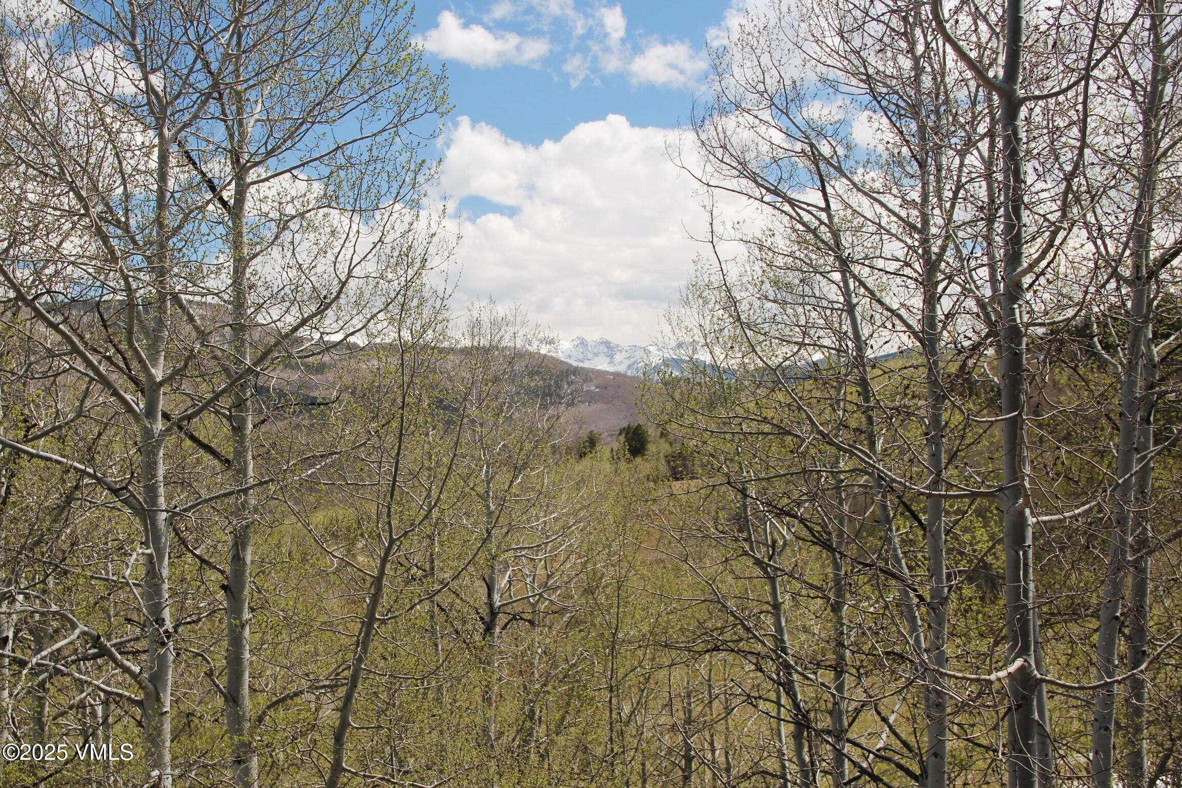 204 Bear Paw, D6 Property Photo 28