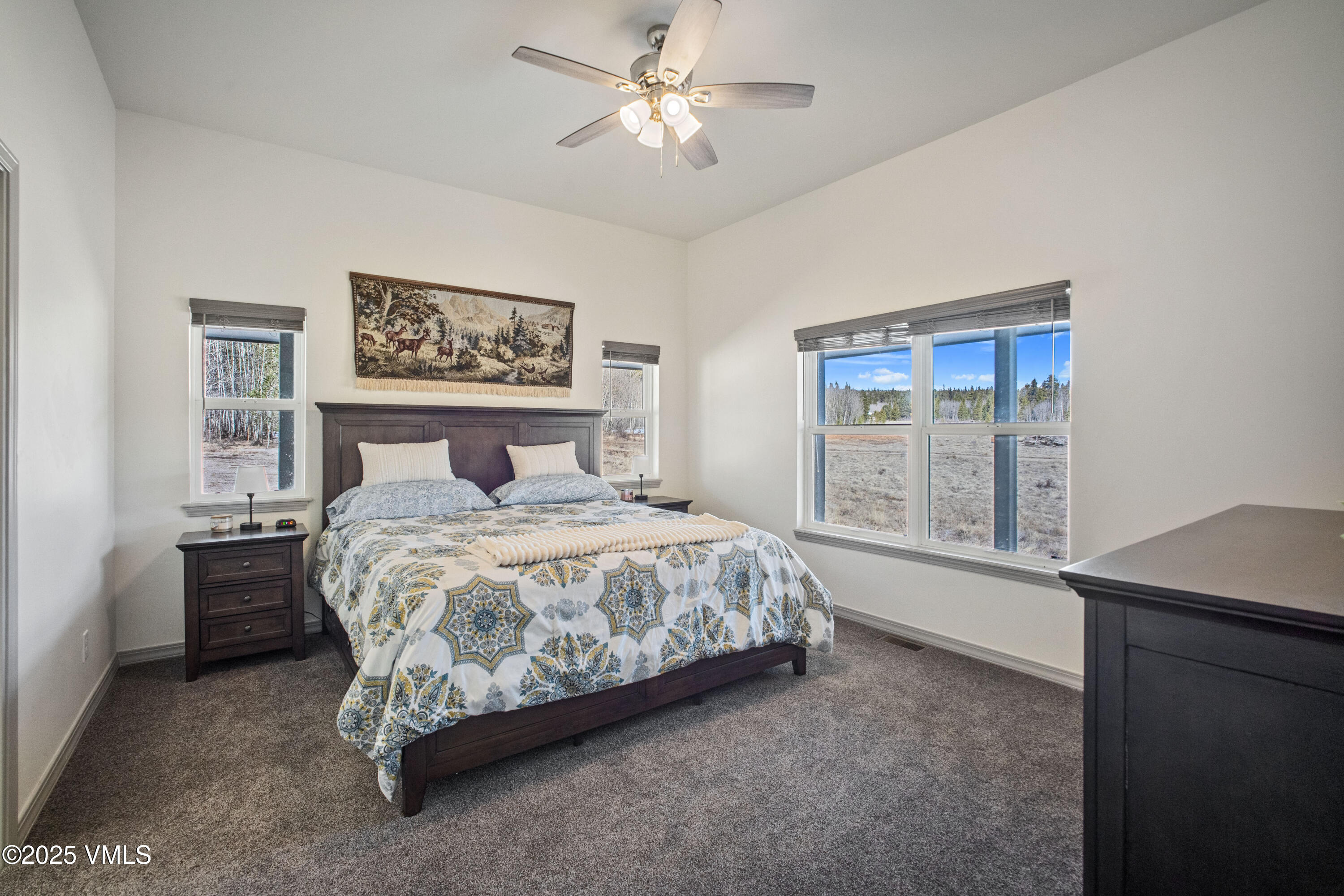 247 Foxtail Court Property Photo 13